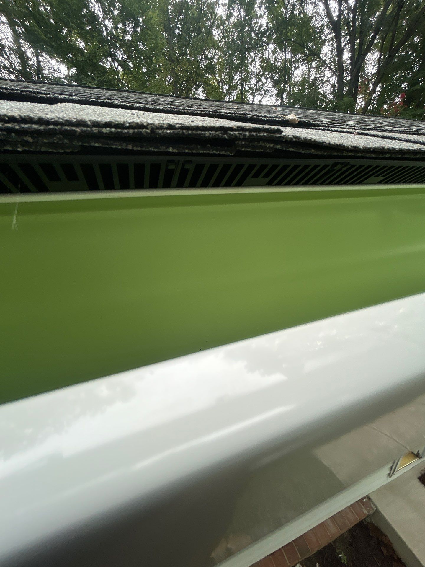 Springfield : with CertainTeed Landmark Pro in Max Def Cobblestone Gray  by RM Banning, Inc.