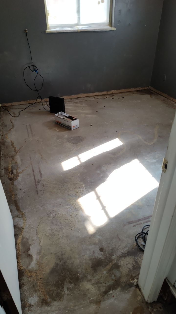 Mold Remediation by Accountable Home Services