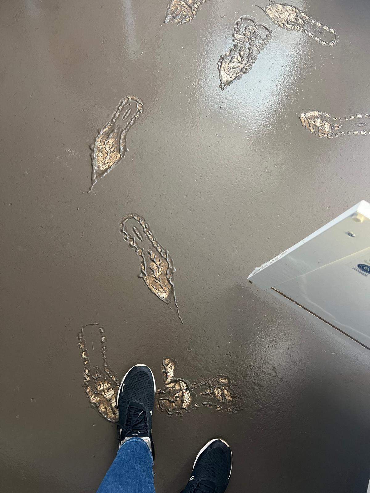 Water Damage Claim in Matlacha by FLAPA & KeyStone