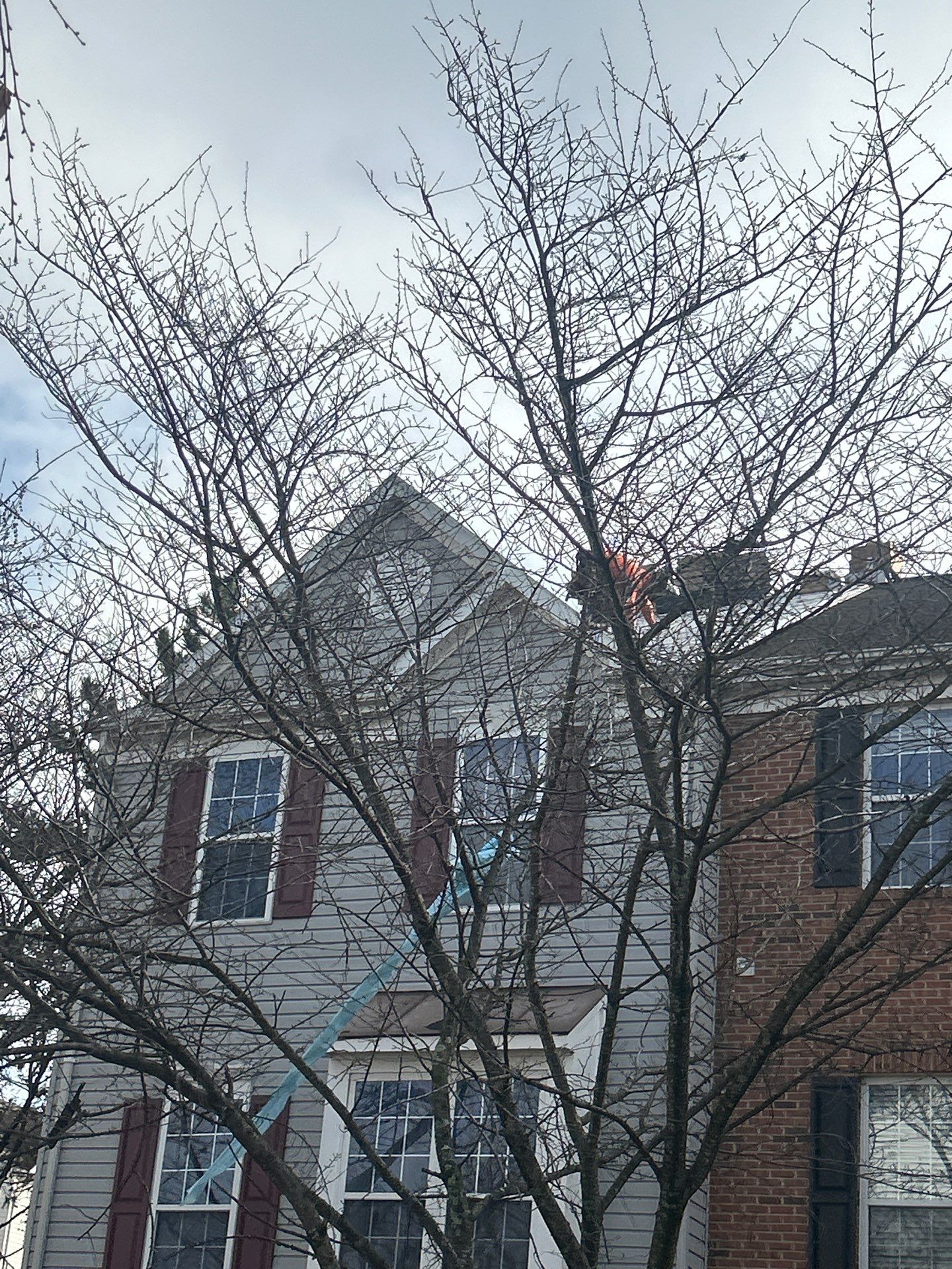 Sterling: Residential Roof Replacement with CertainTeed Landmark Pro in Max Def Driftwood by RM Banning, Inc.
