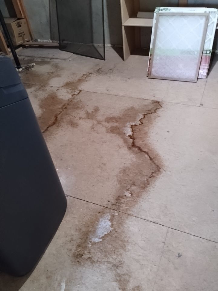 Mold Damage by Accountable Home Services