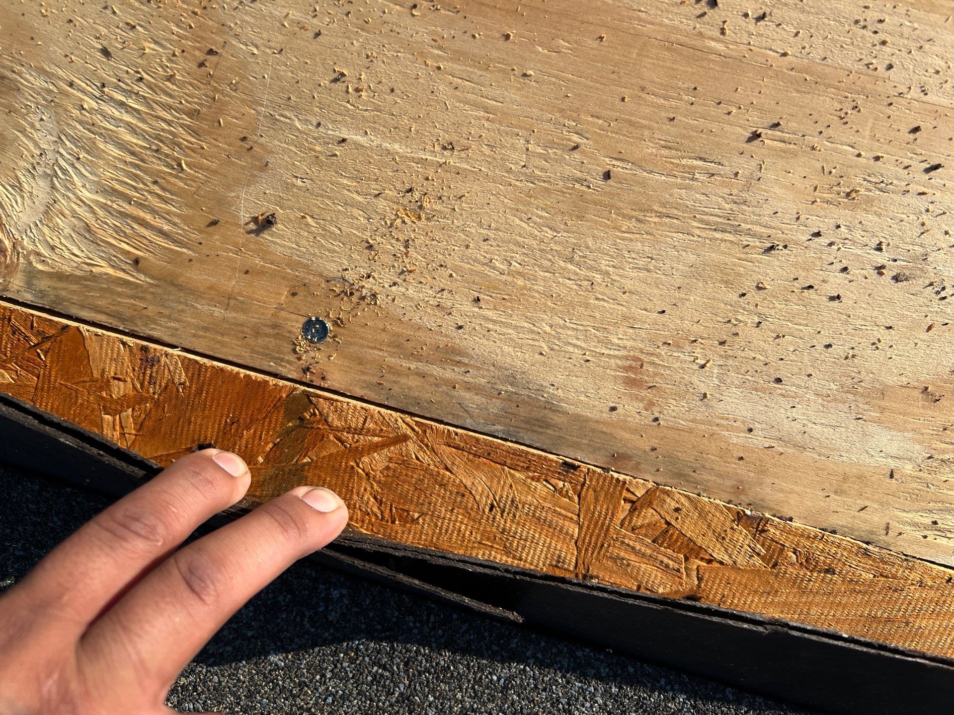 Let My Attic Breathe!!!!! by Bayfront Roofing and Construction
