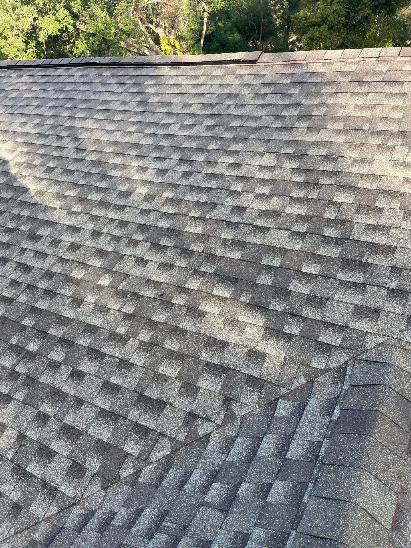 2504 Chateau Drive • Lutz, FL 33559 by Vertical Roofing Co