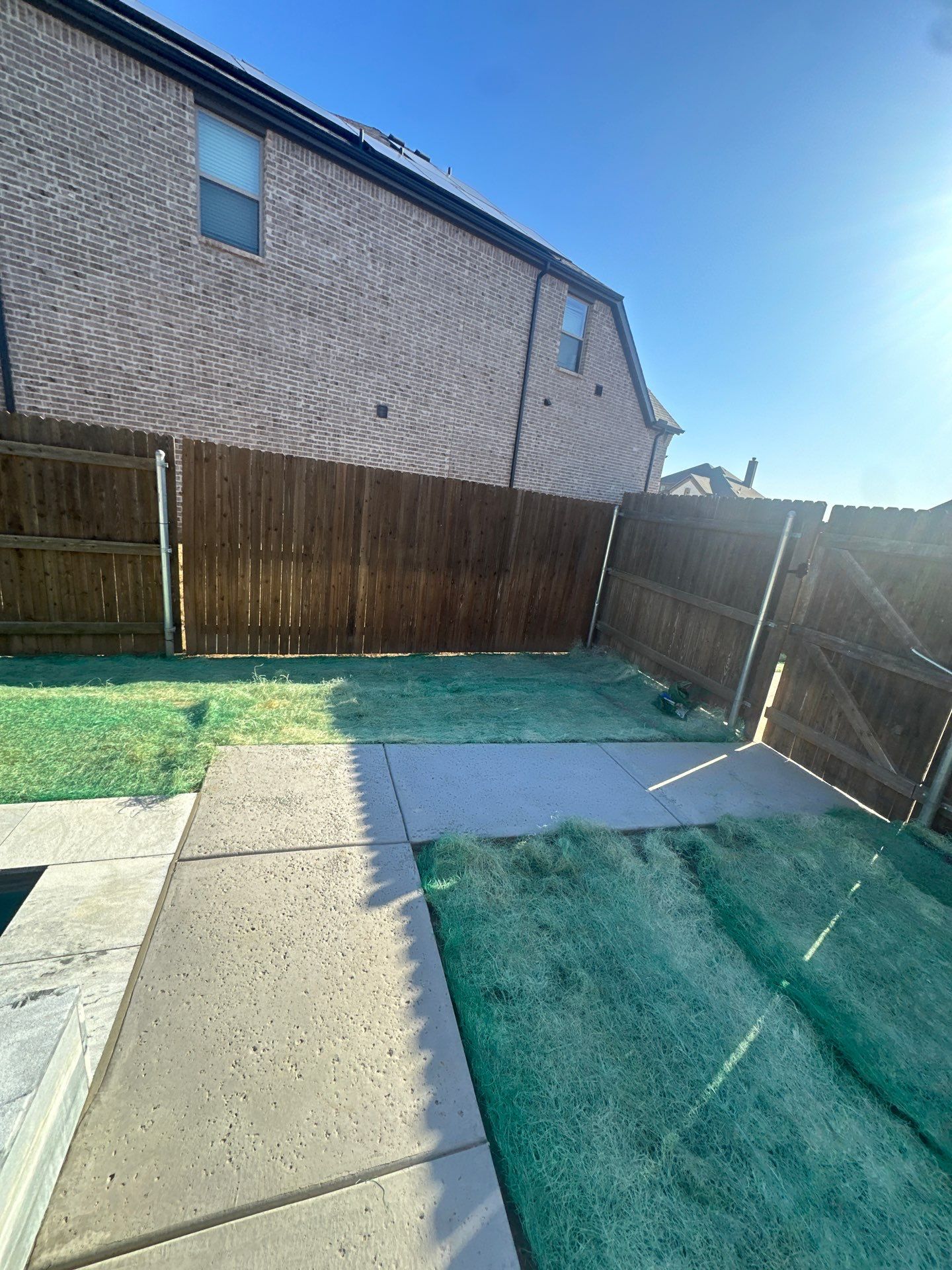 Modern Lap Pool with Turf Surround by Pinnacle Pools and Spas - DFW