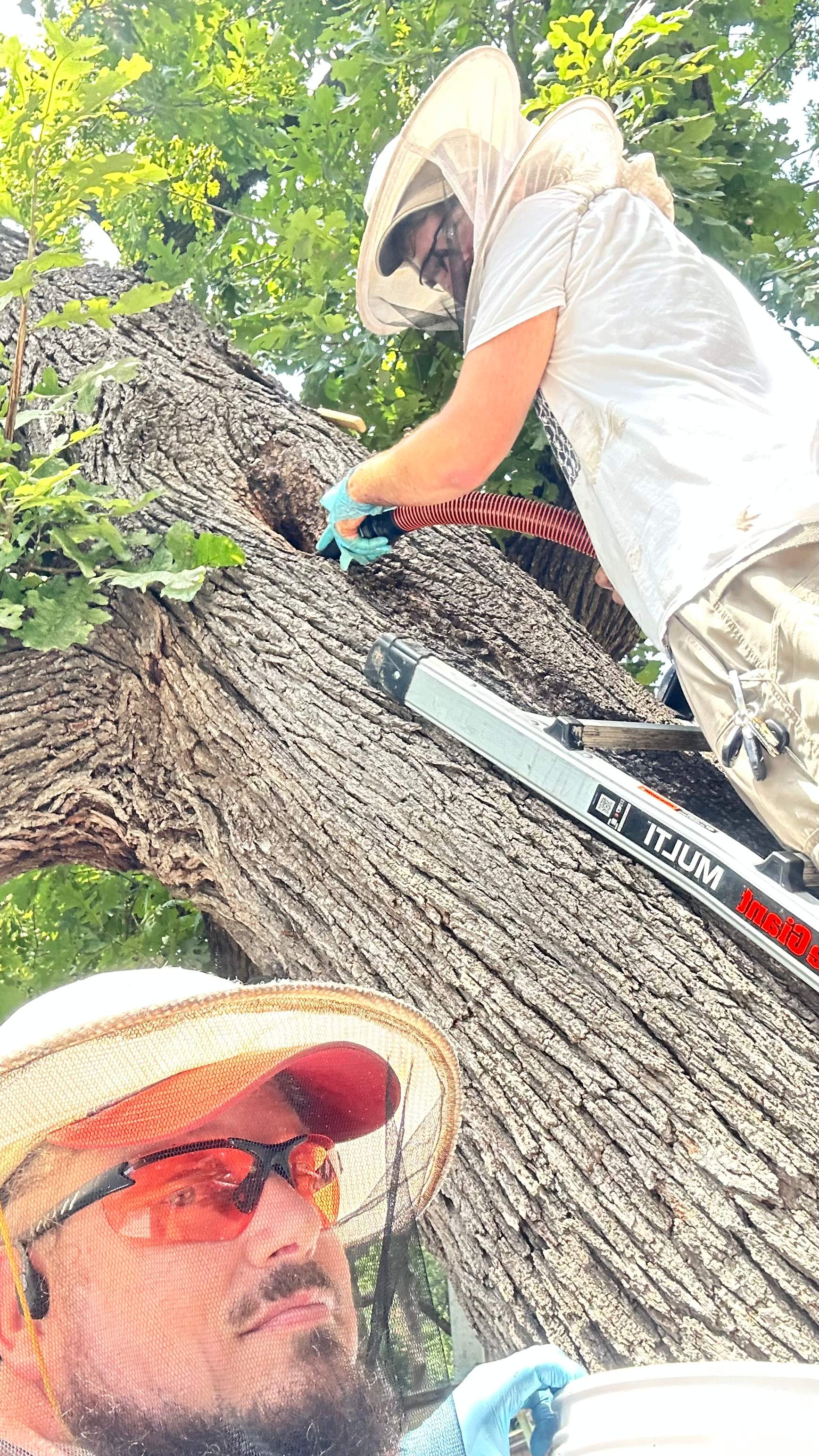 Tight Squeeze by Rockwall Honey Bee Company