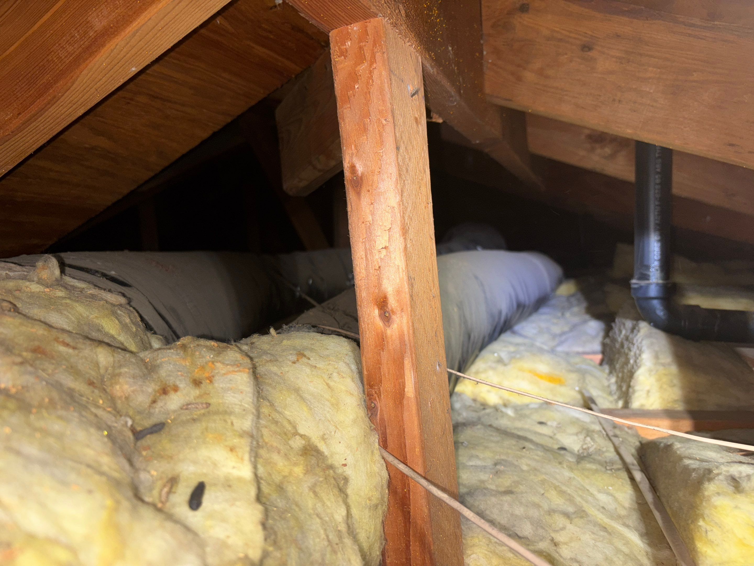 Project in Paramount by Insulation Labs