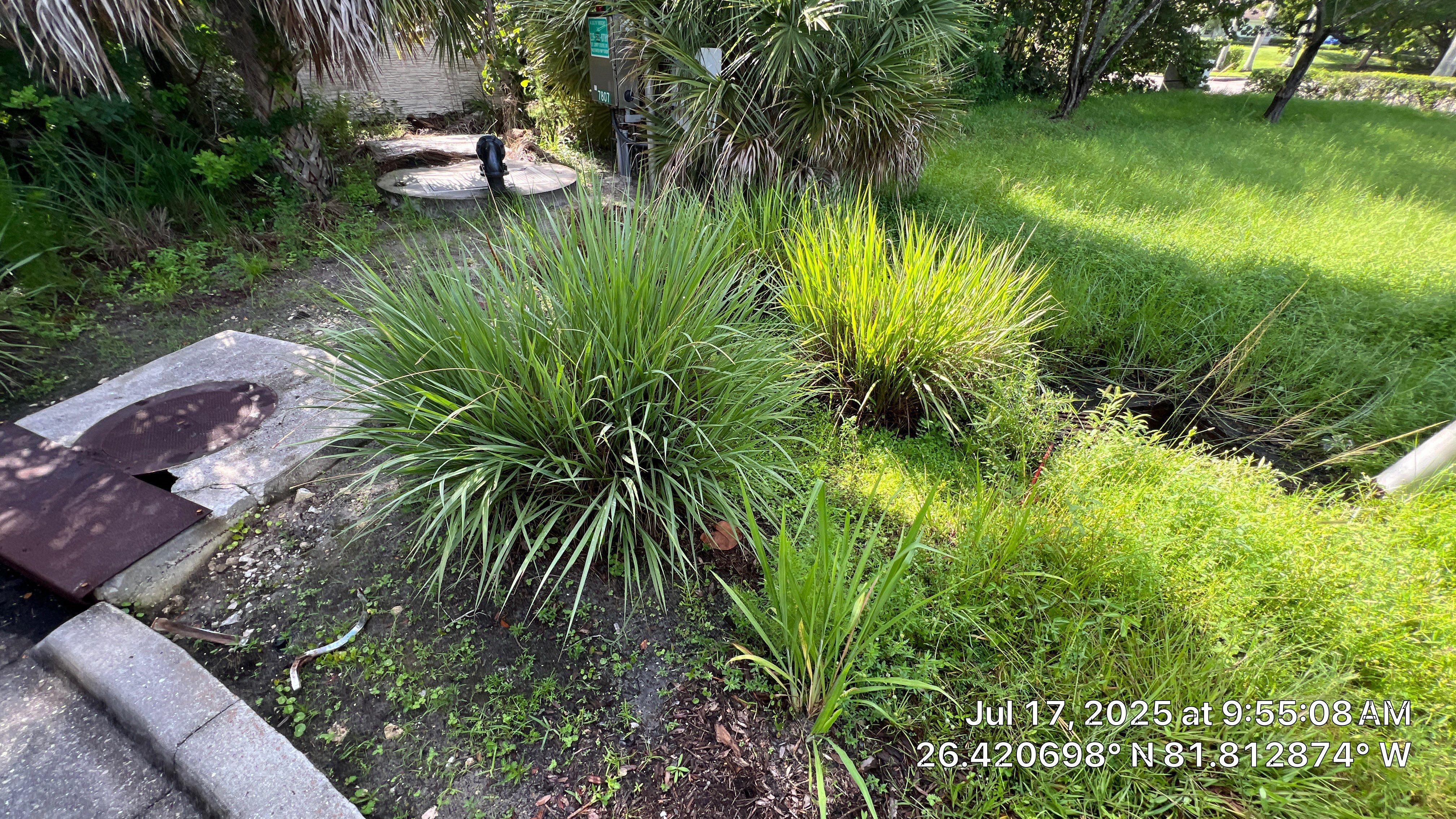 Catch Basin Cleaning with 1 Tom Plumber in Estero by APS Power & Water