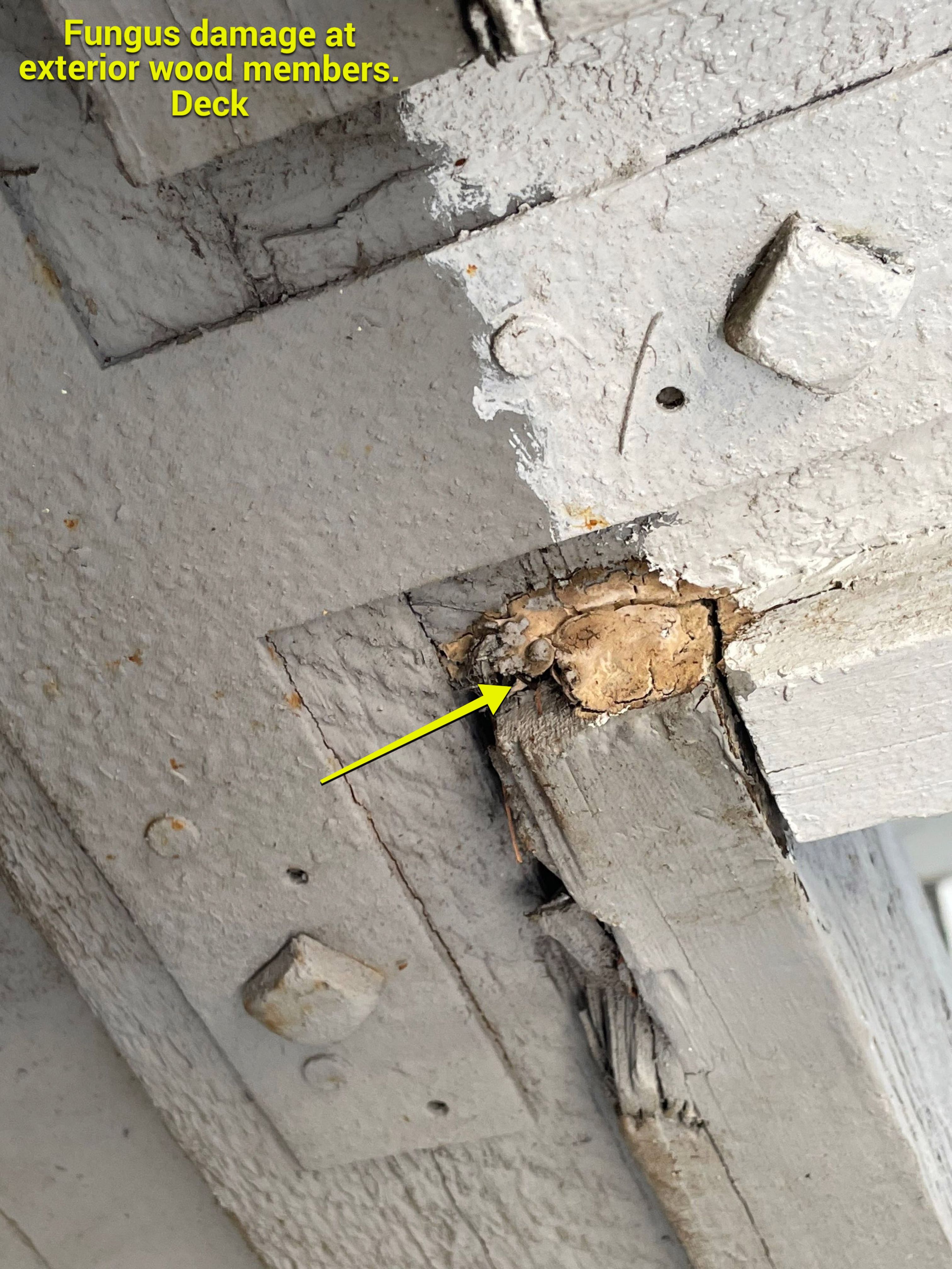 Wood Destroying Organisms Report by GLOBAL Termite Solutions