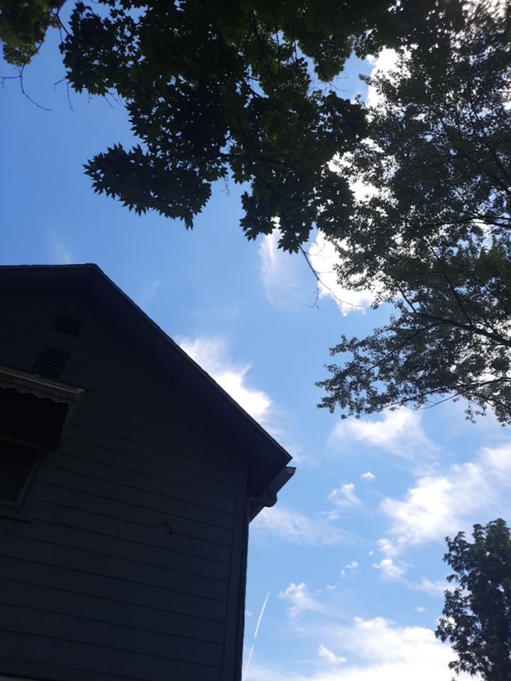 Tree Removal using Tree Removal by Mike Jones & Sons Tree Service LLC 