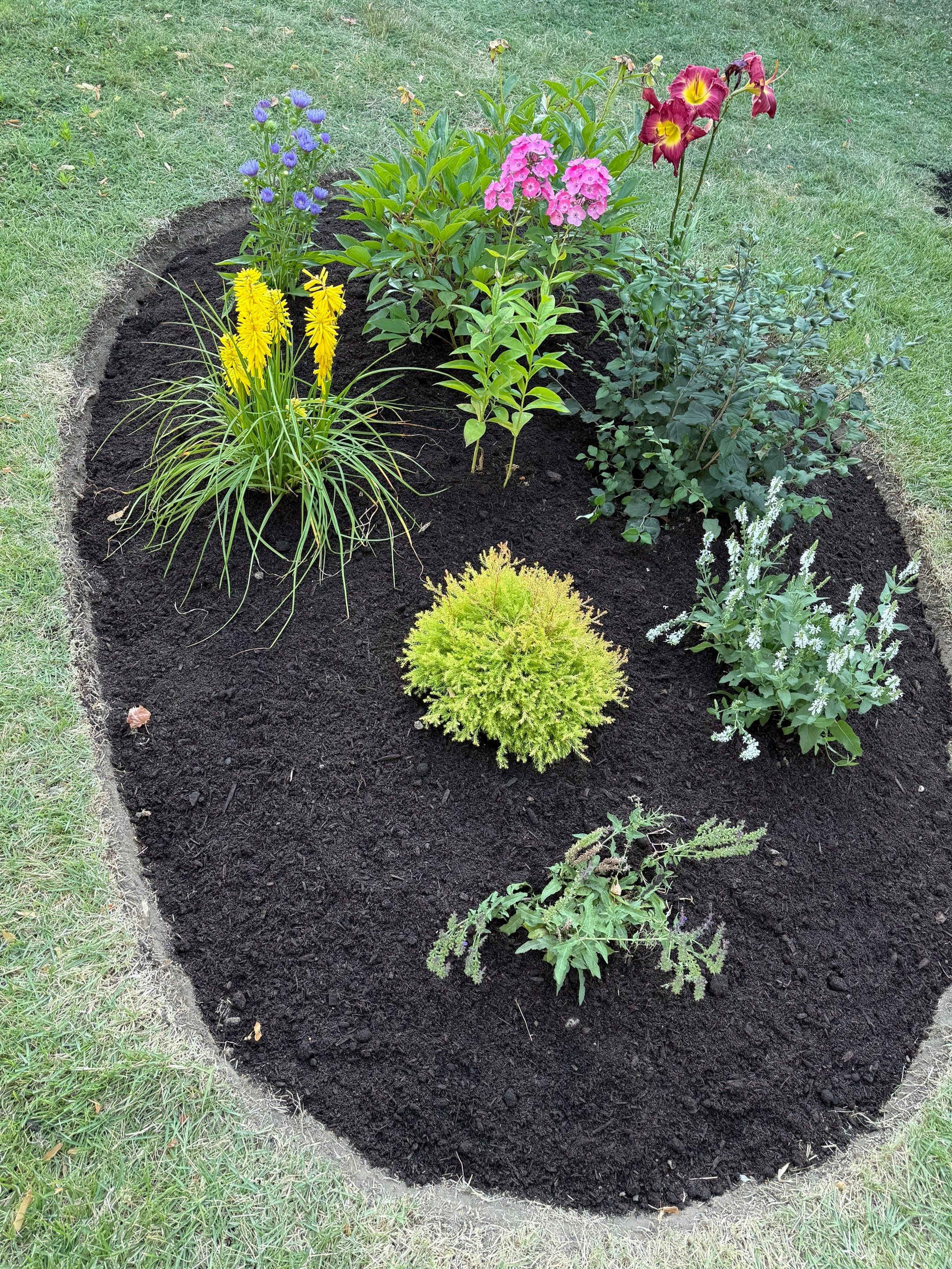 Tottenham Cottage Project by Elm Rose Gardens