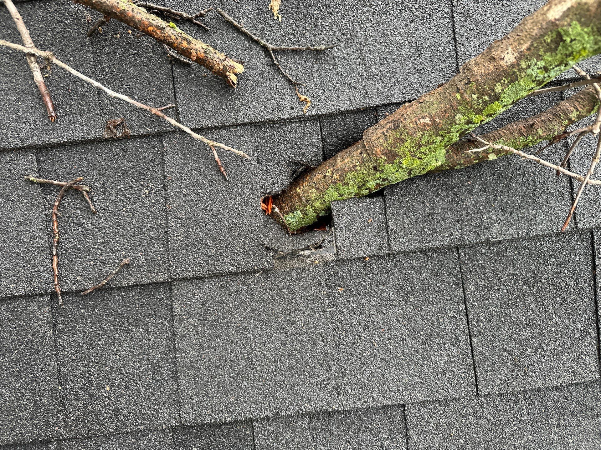 Asphalt Shingle Roof Repair After Tree Damage in Liberty by Liberty Roofing