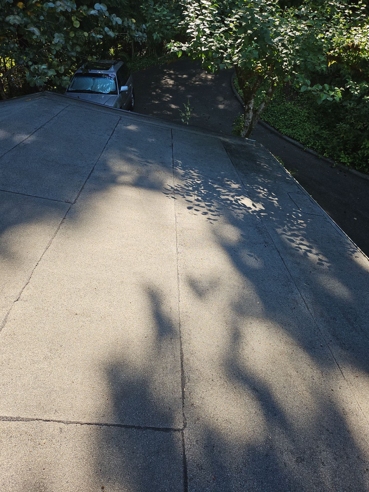Project in Seattle by Peaks and Valleys Construction