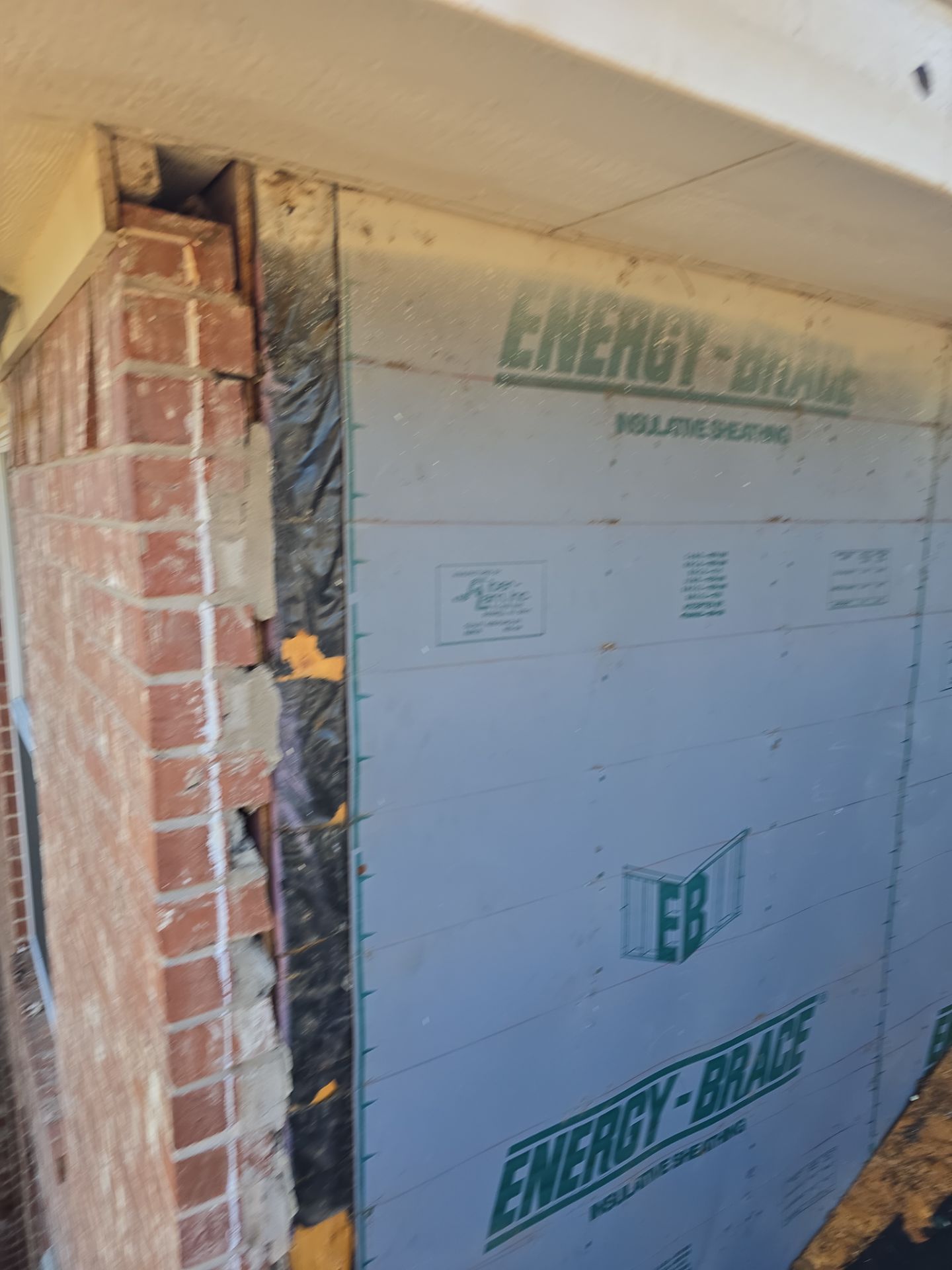 Dog Door Replacement by First Out Roofing 