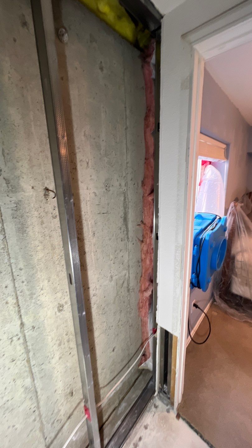 Mold Remediation by Accountable Home Services