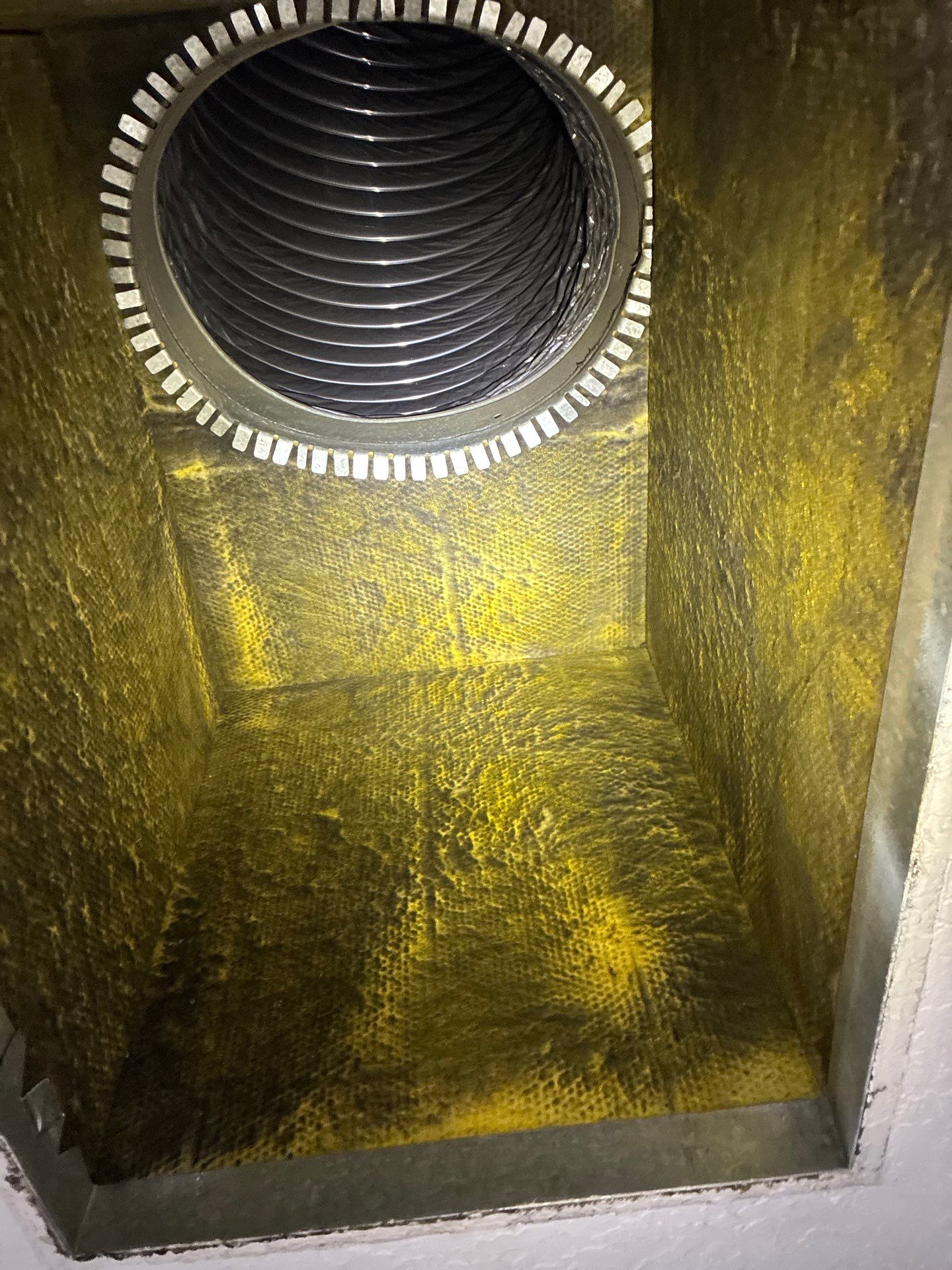 AIr Duct Cleaning in Clermont by Hygienic Air, Inc