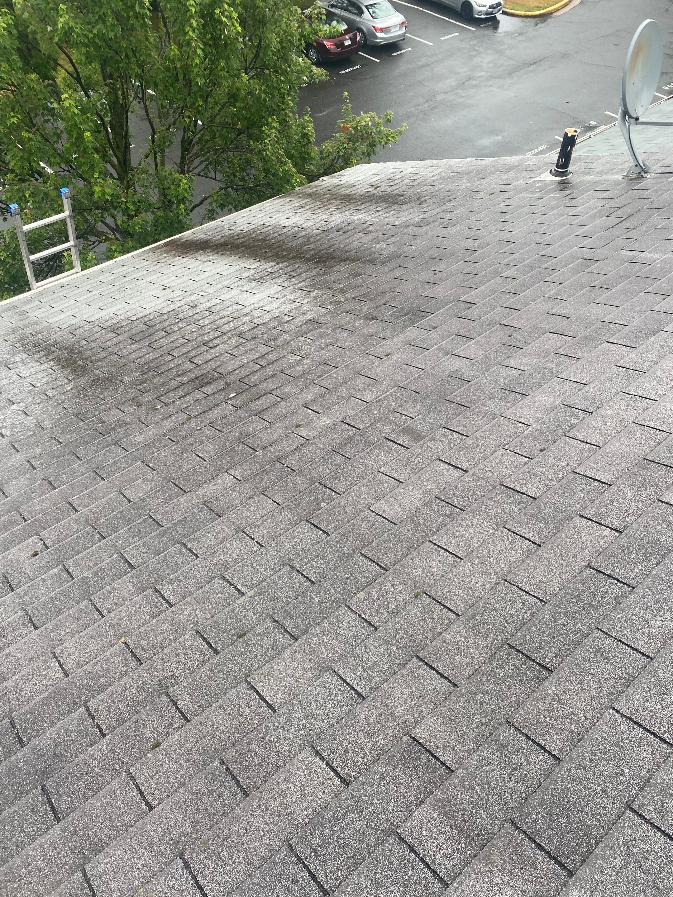 Manassas: Roof Replacement with CertainTeed Landmark Pro Designer Shingles in Max Def Cobblestone Gray by RM Banning, Inc.