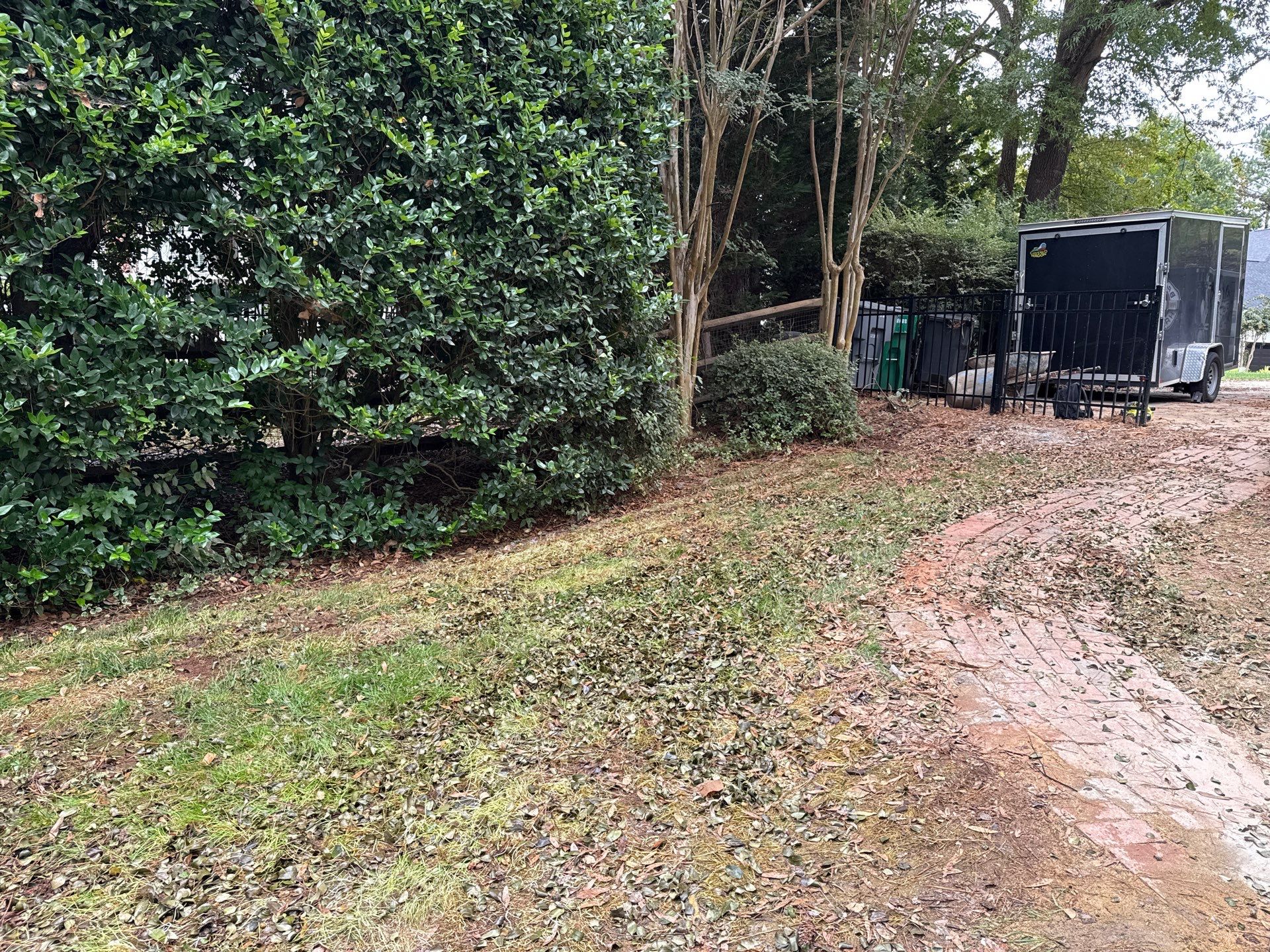 Project in Charlotte by Badger Hauling