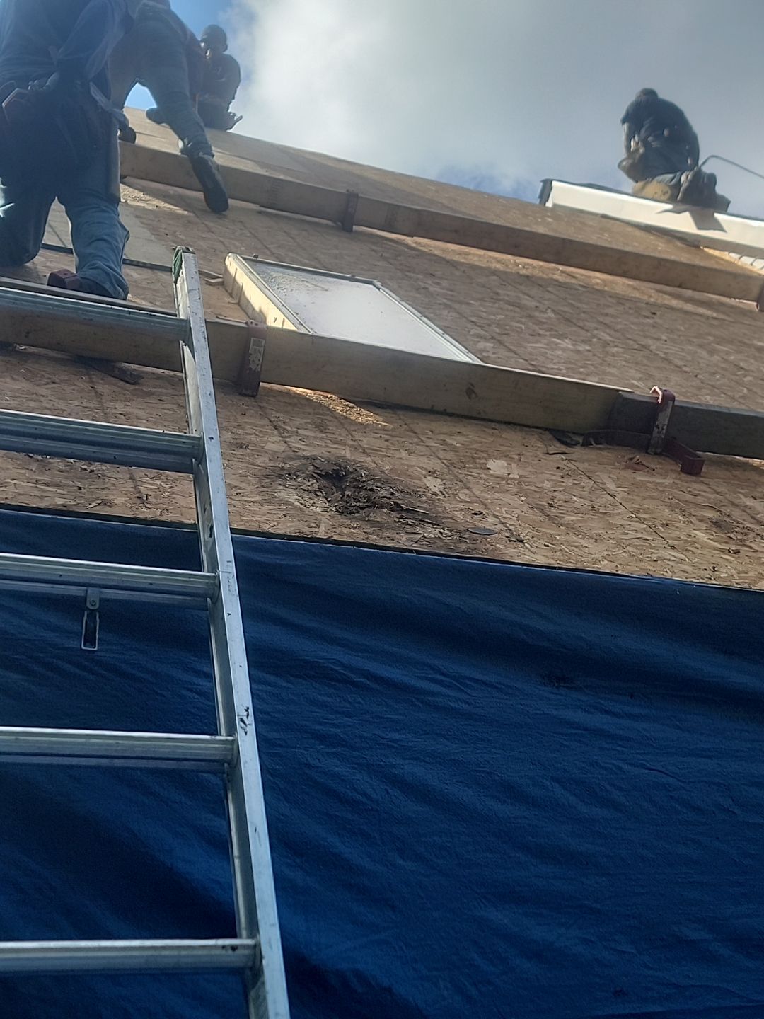 Project in Painesville, OH by Barbera Home LLC