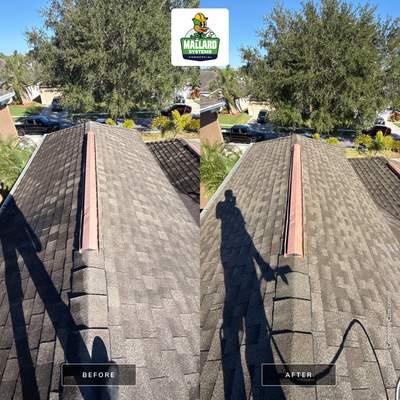 Shingle Roof Cleaning