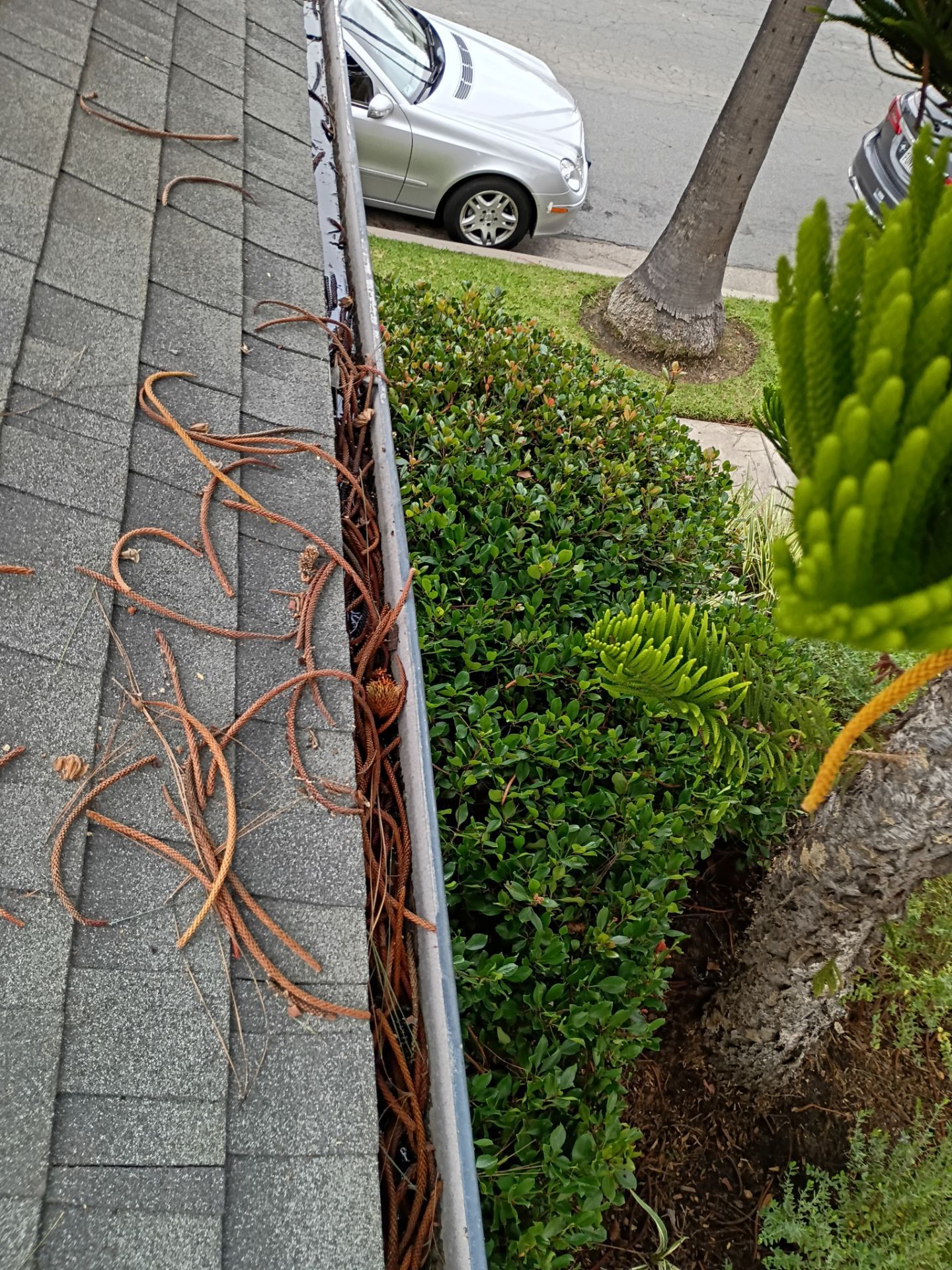 HOA gutter cleaning before photo