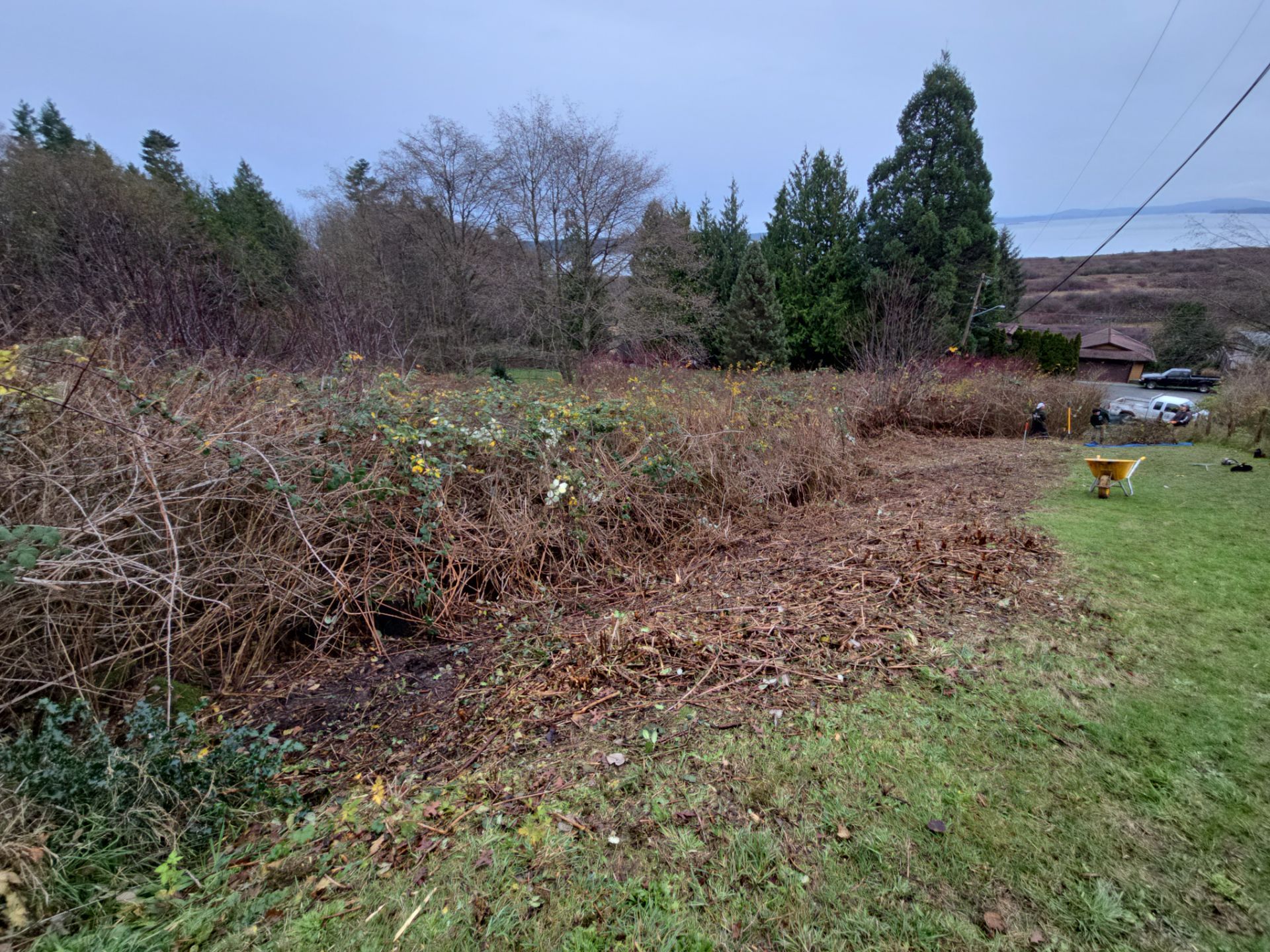 Island View - Ecological Restoration & Stewardship by Habanero Landscape Solutions