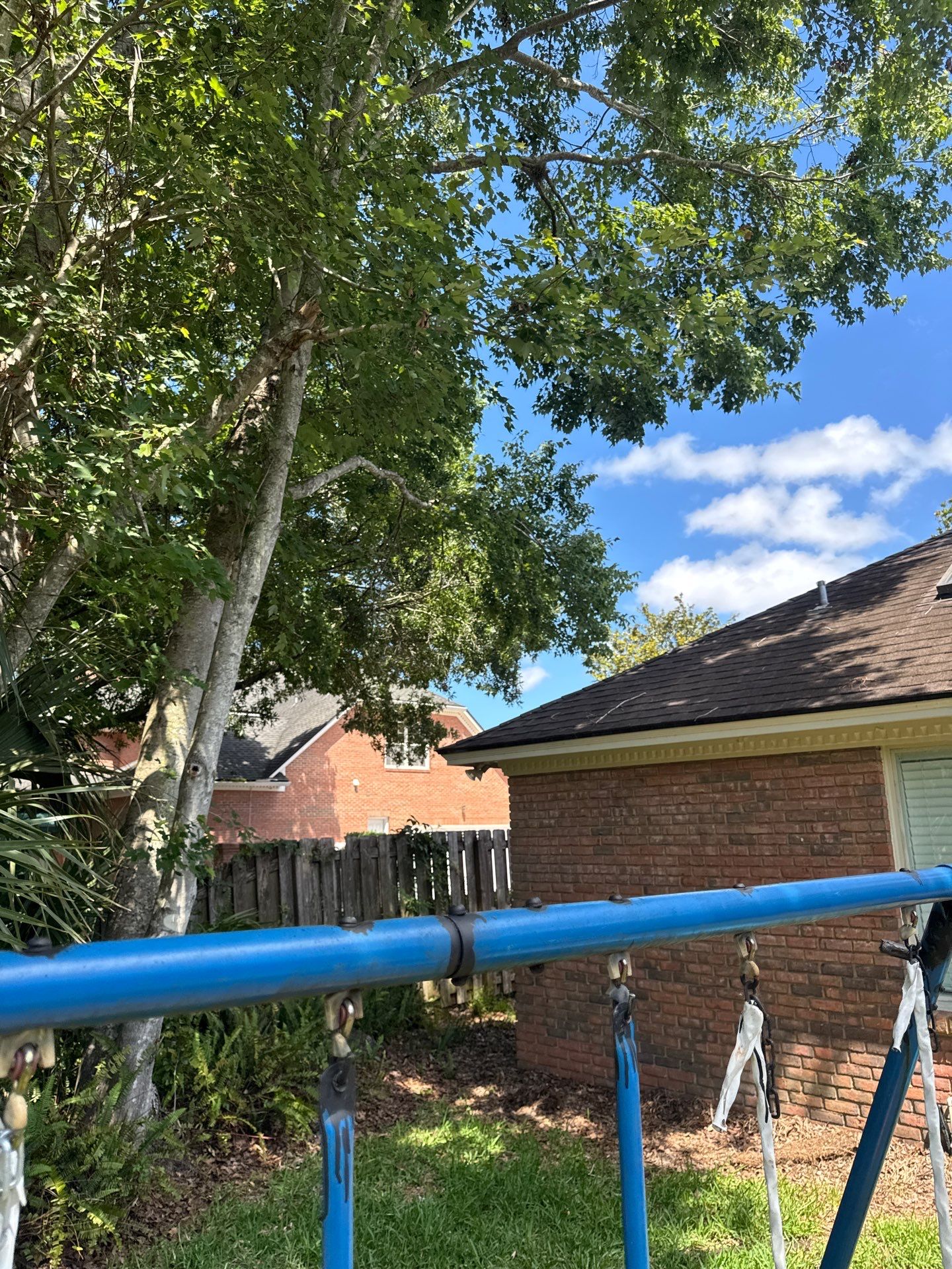 Deerwood Resident | Tree Trimming by ProGreen Services