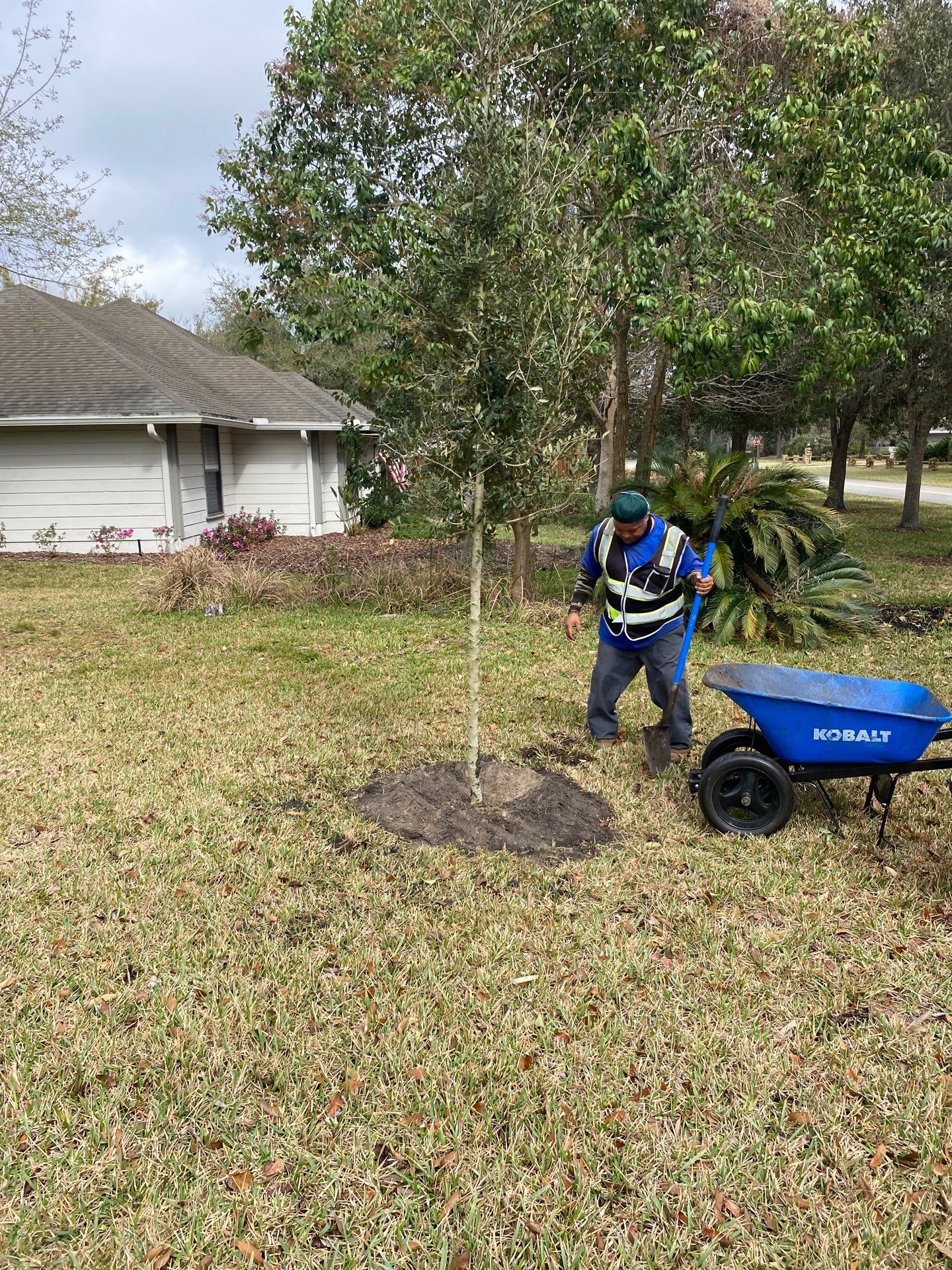 Deerwood Resident | Tree Install by ProGreen Services
