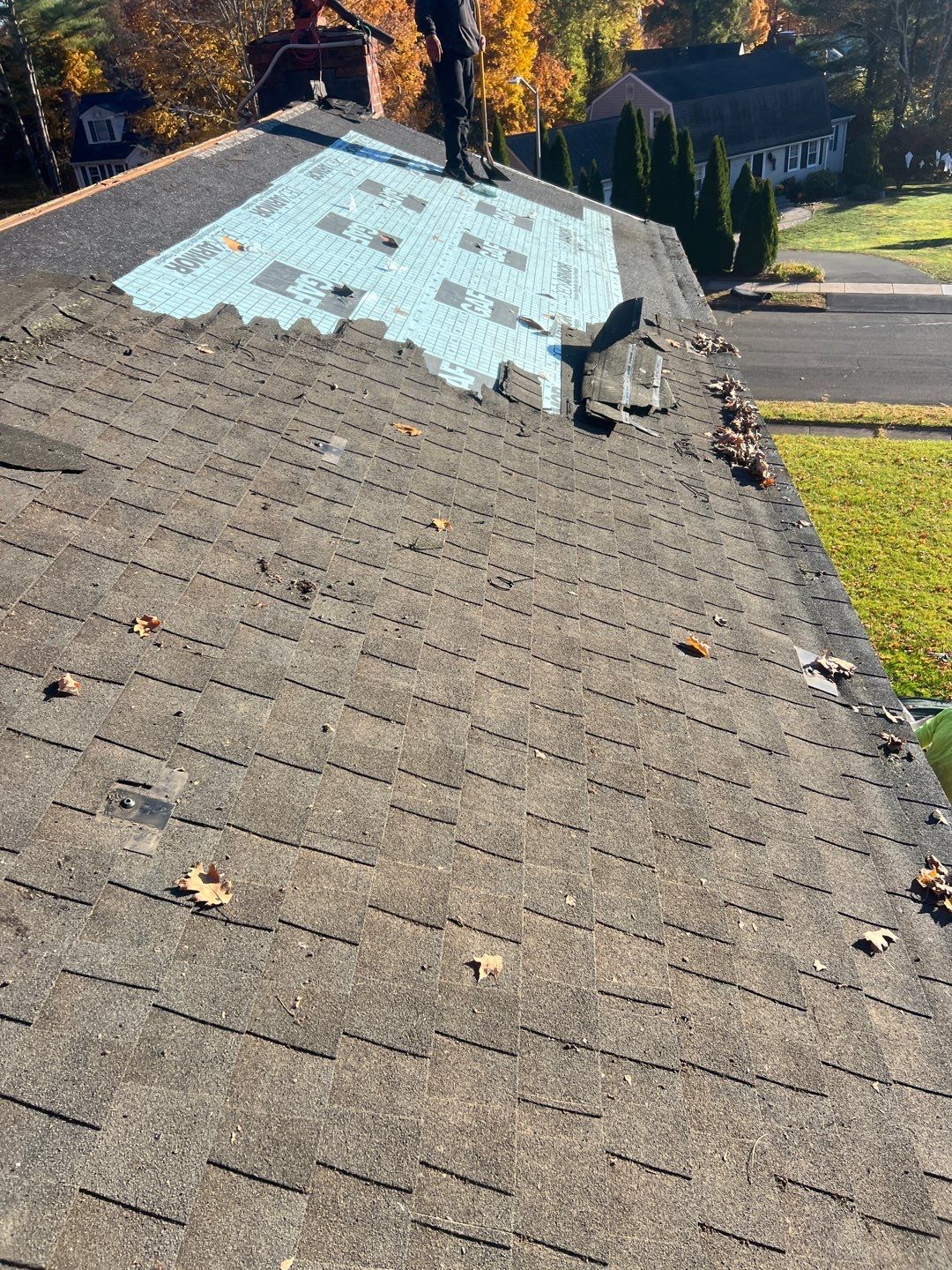 Estate Gray Shingles by Reimagine Roofing