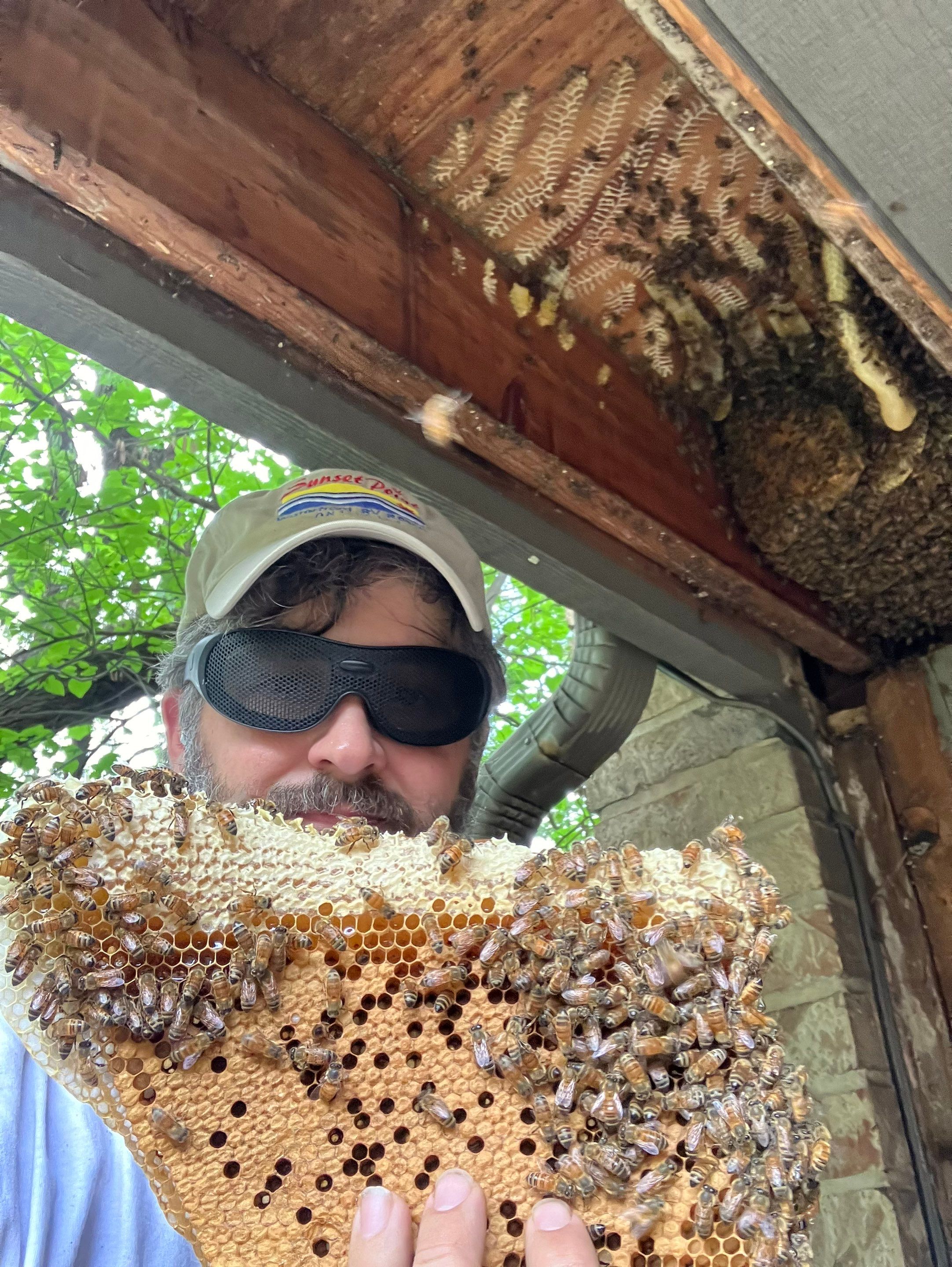 Love this house! by Rockwall Honey Bee Company