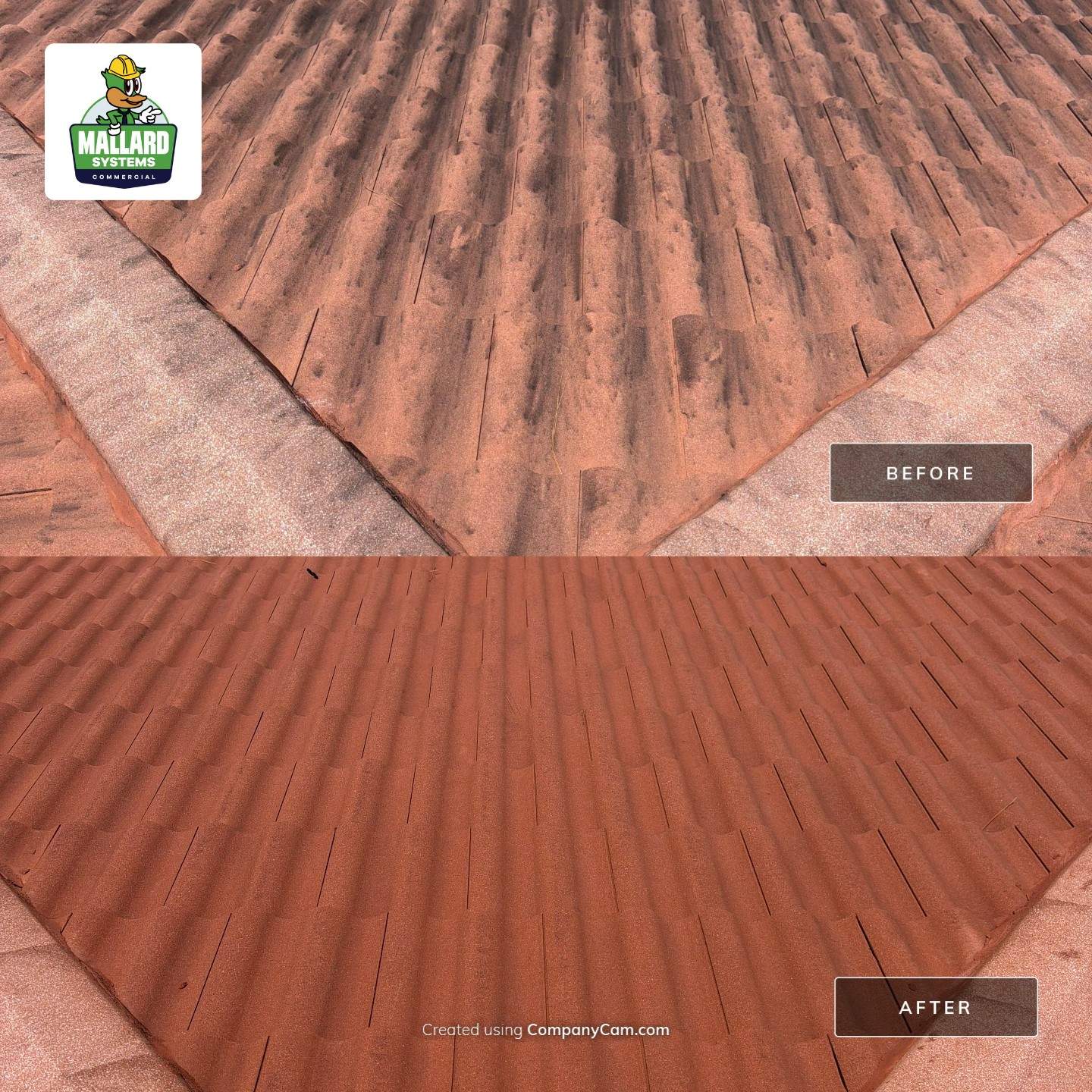 Professional Tile Roof Cleaning for Two-Story Kissimmee Home by Mallard Systems