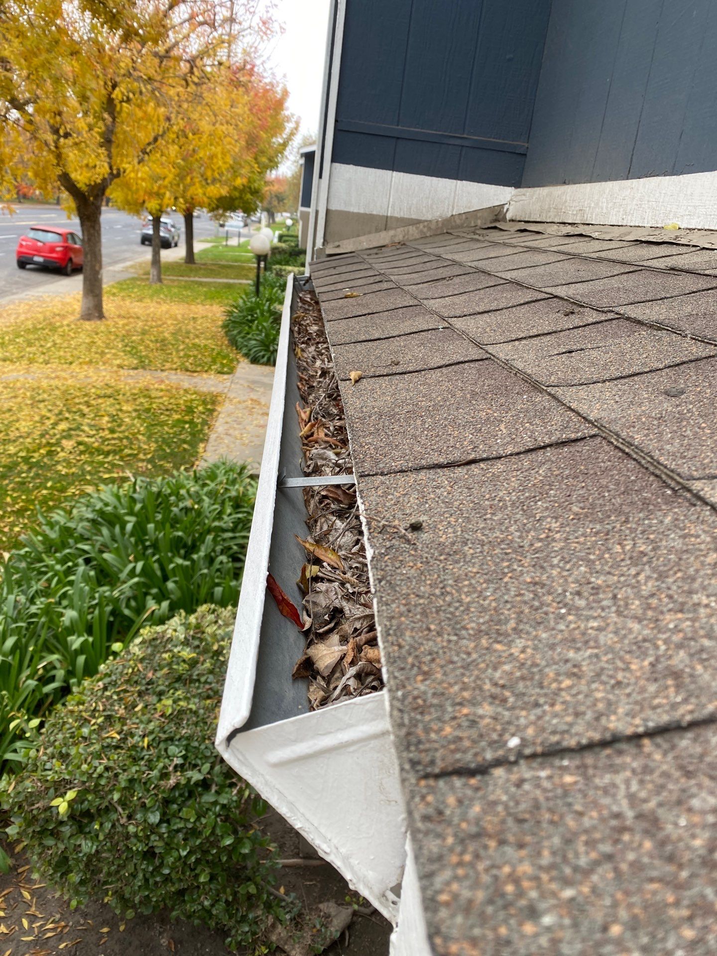 HOA gutter cleaning before photo
