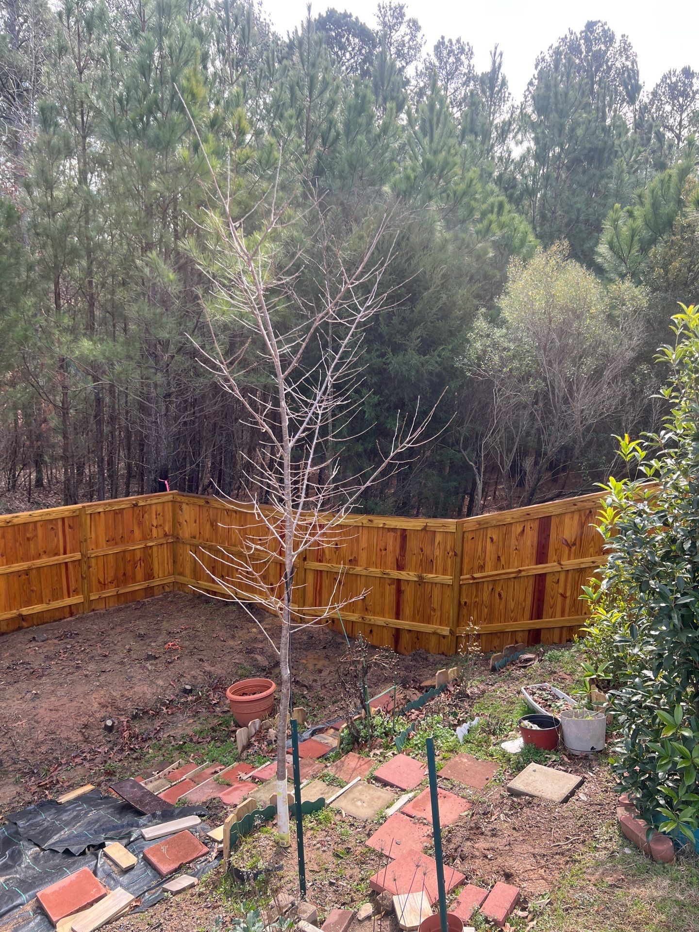 Fence using Wood Sealant by DuraSeal