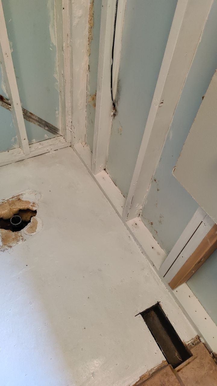 Water Damage and Mold Remediation by Accountable Home Services