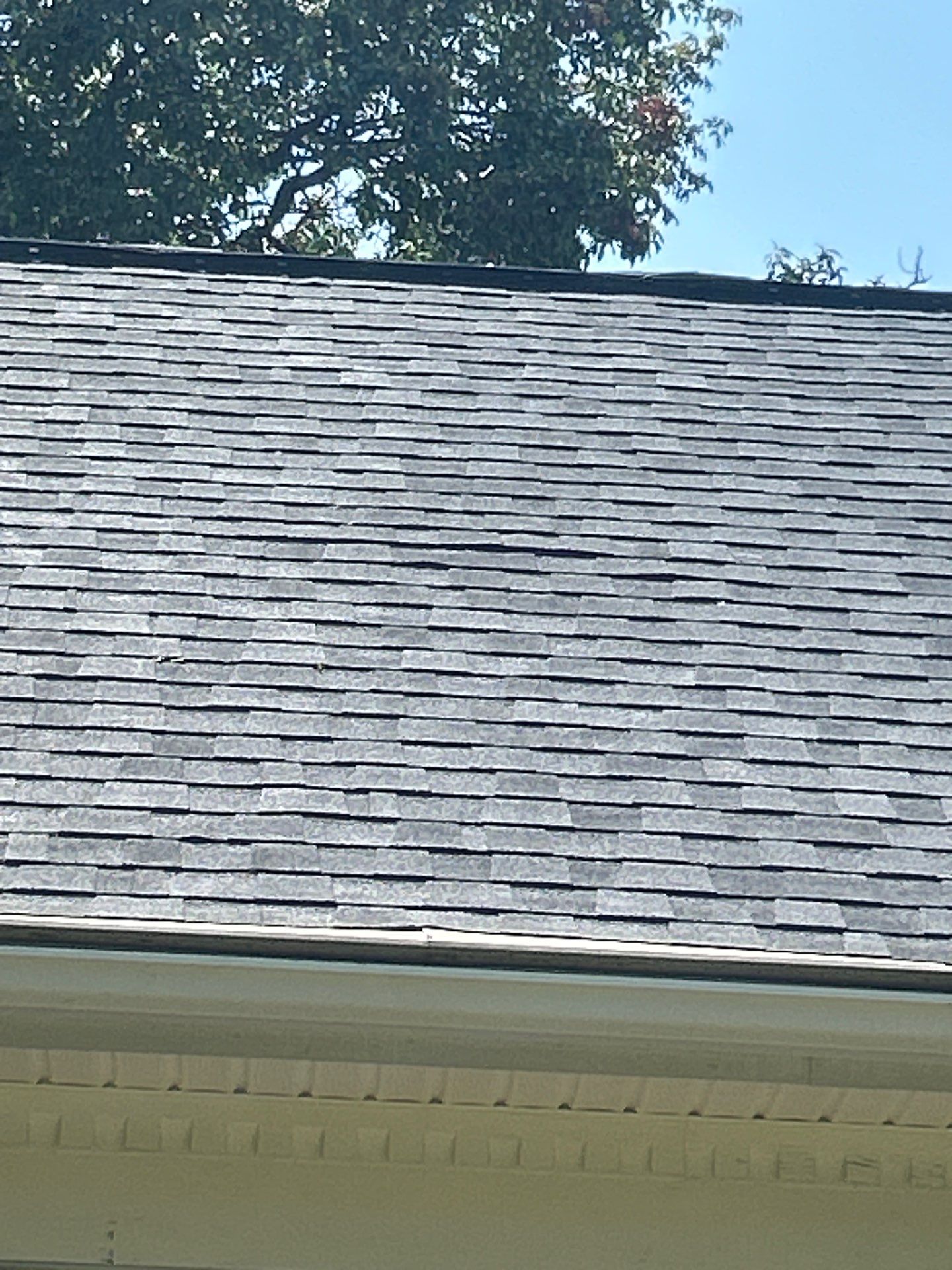 Lorton: Residential Roof with CertainTeed Landmark Pro in Max Def Moire Black by RM Banning, Inc.