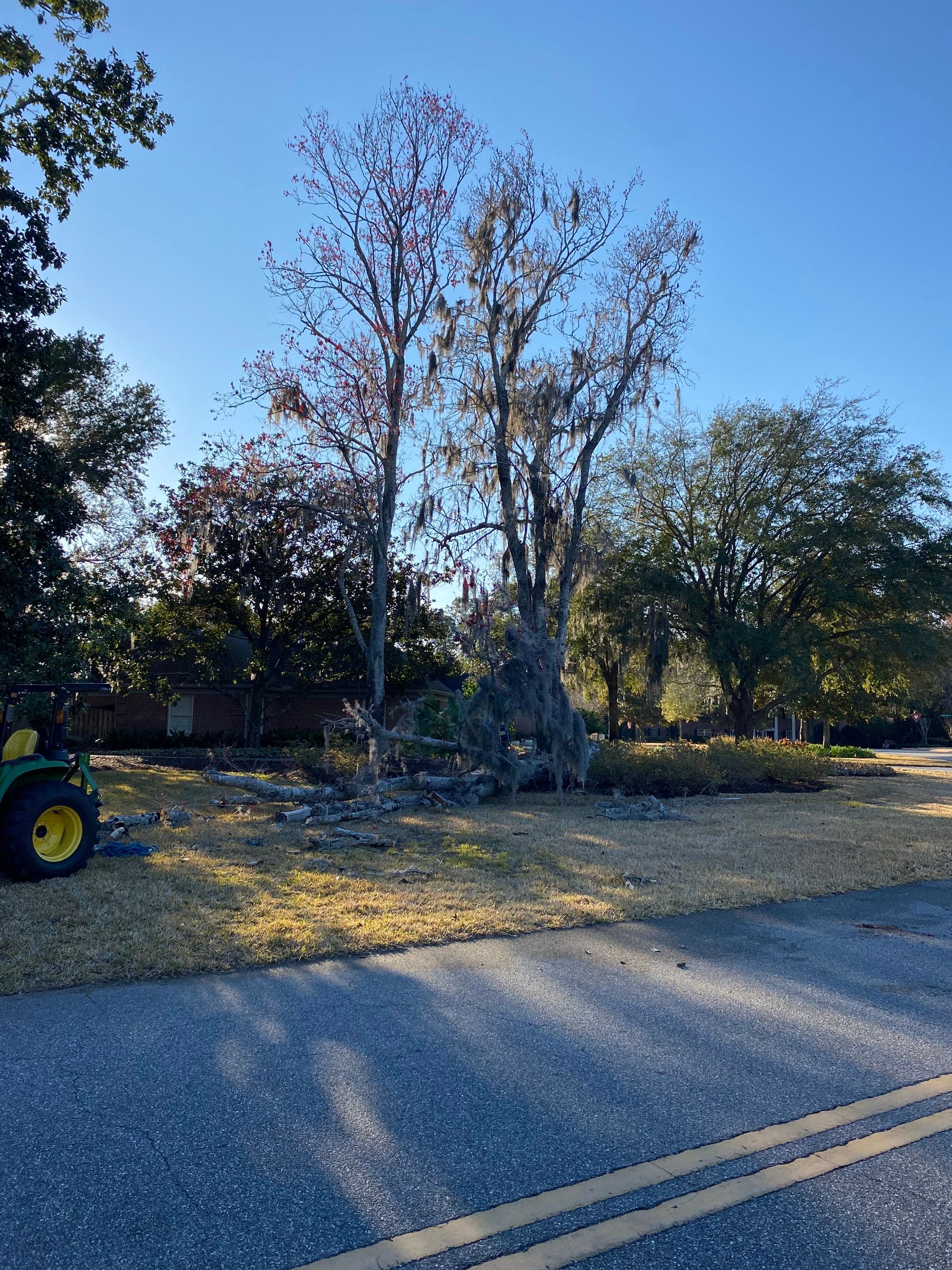 Deerwood Resident | Tree Removal & Mulch Install by ProGreen Services
