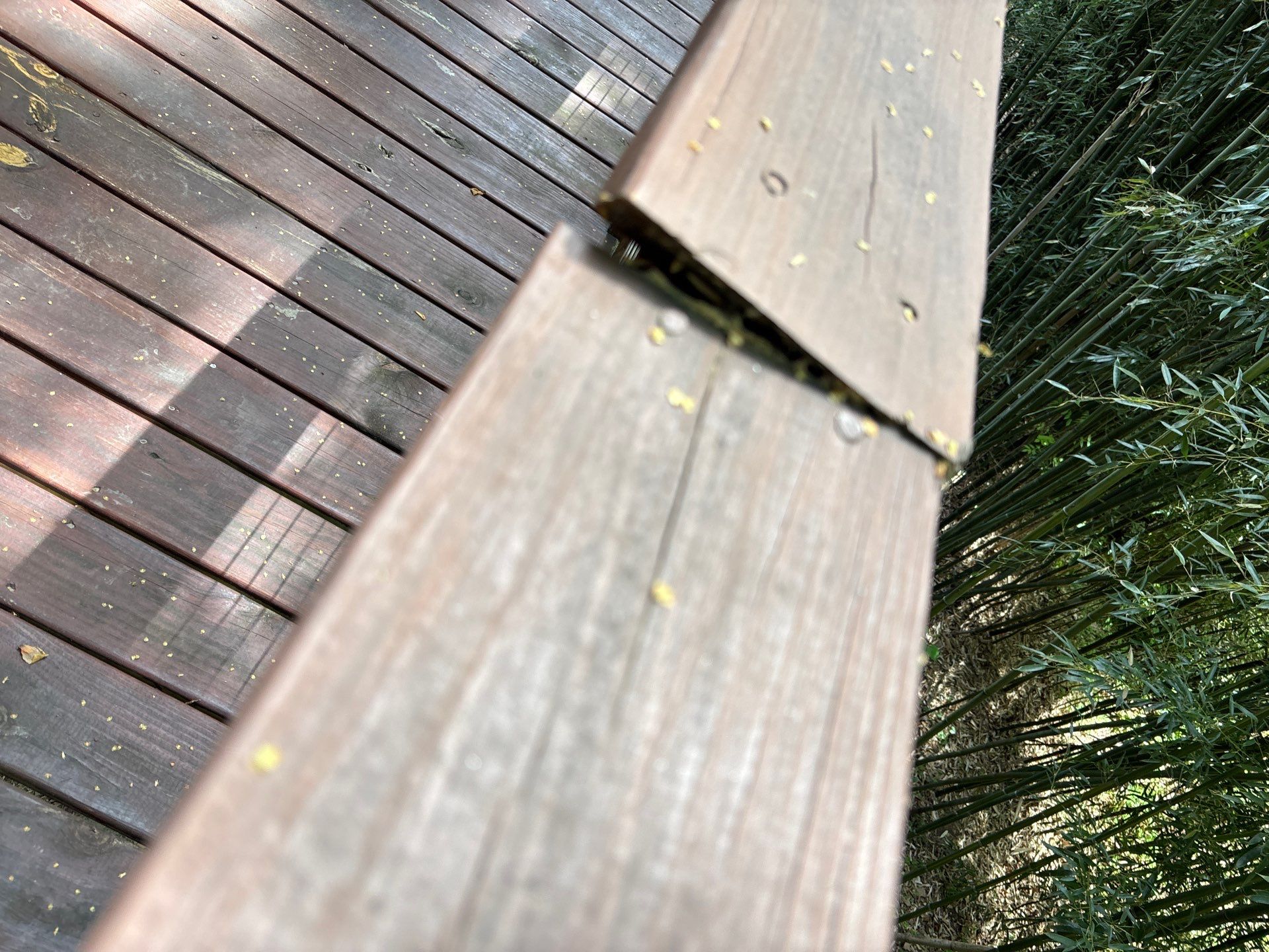 Deck and Fence using Wood Sealant by DuraSeal