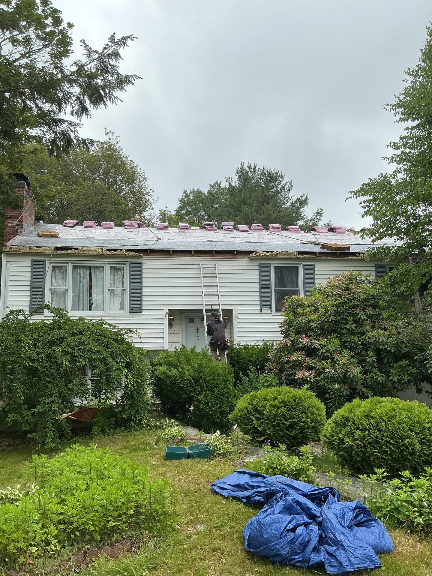 Gutters & Roofing | Acton by Mighty Dog Roofing of Greater Middlesex County