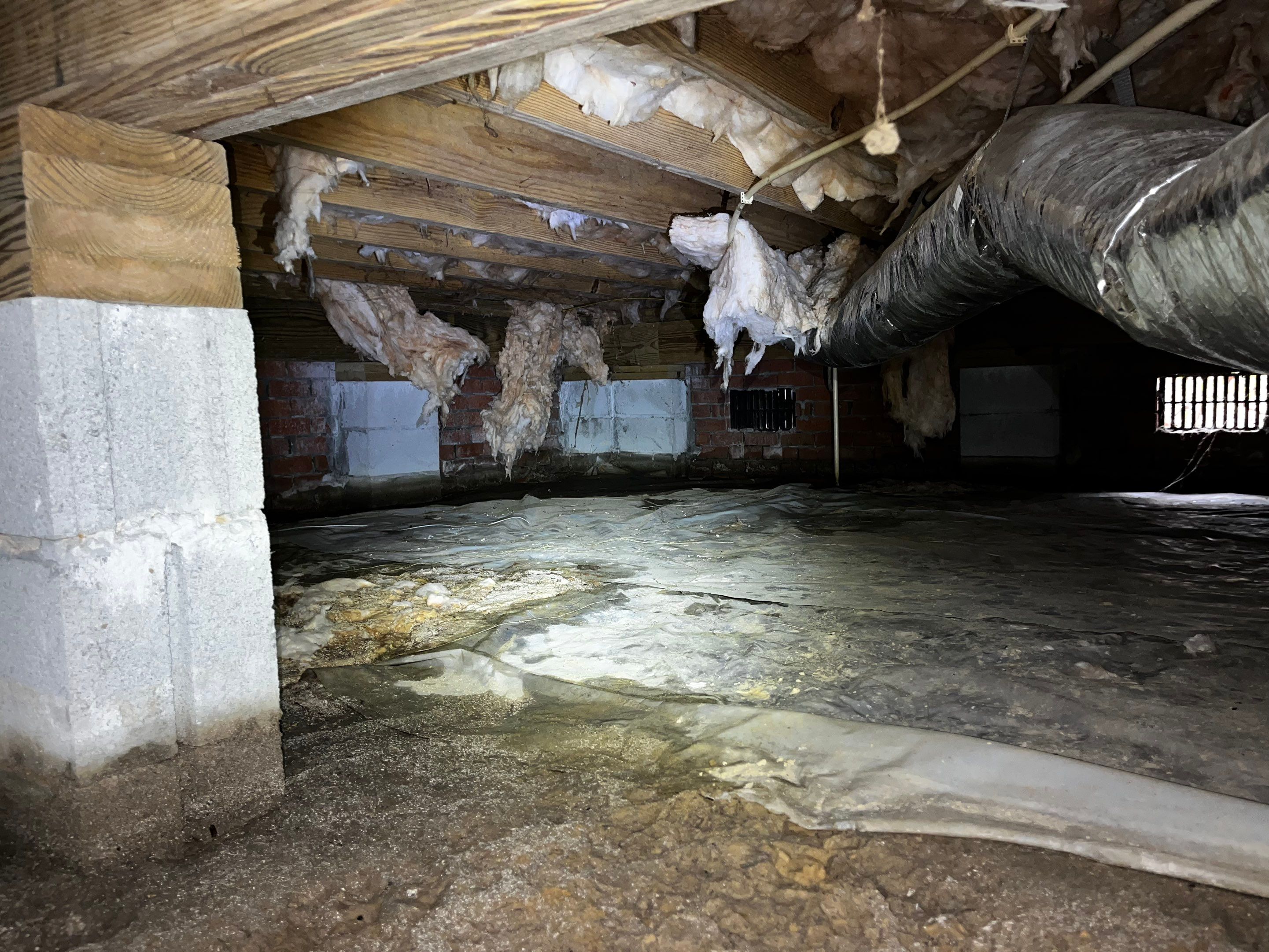 Impact Choice Encapsulation with French Drain and Crawlspace Doors by Impact Crawlspace