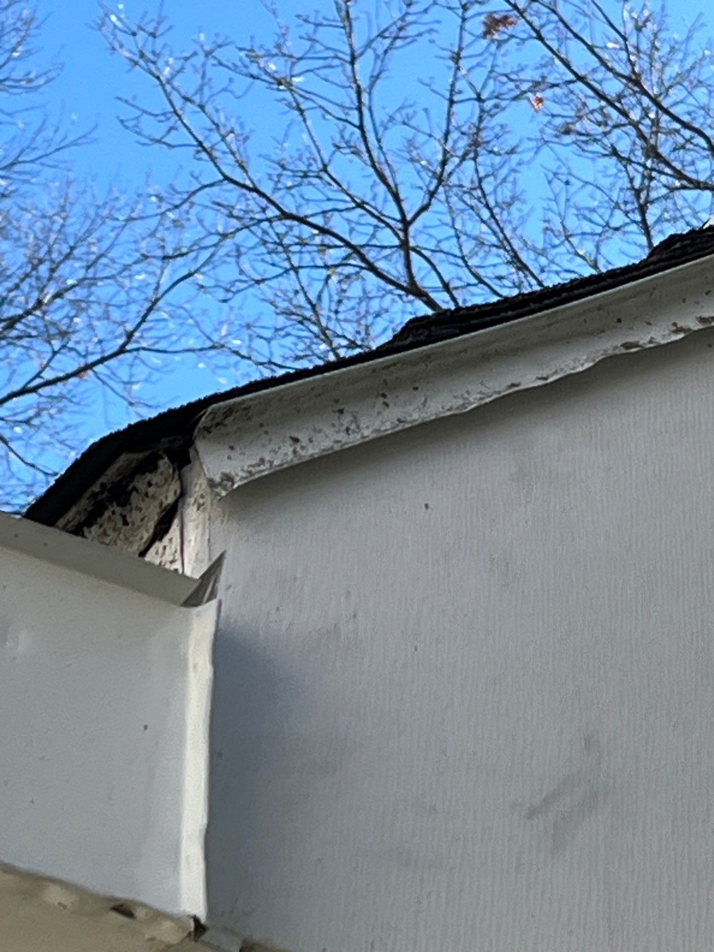 Roof Replacement using Owens Corning Summer Harvest by 180 Contractors