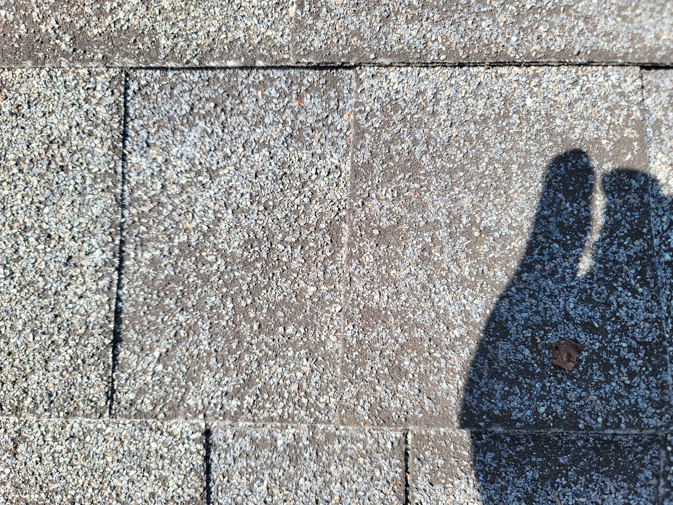OWENS CORNING COLOR: Onyx Black by Eagle Eye Roofing