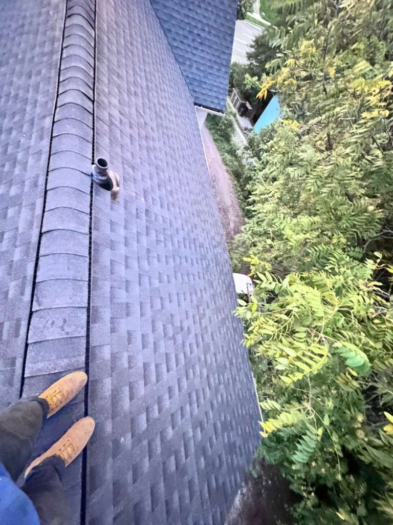 Project in Towson by ZA&MY SERVICES LLC