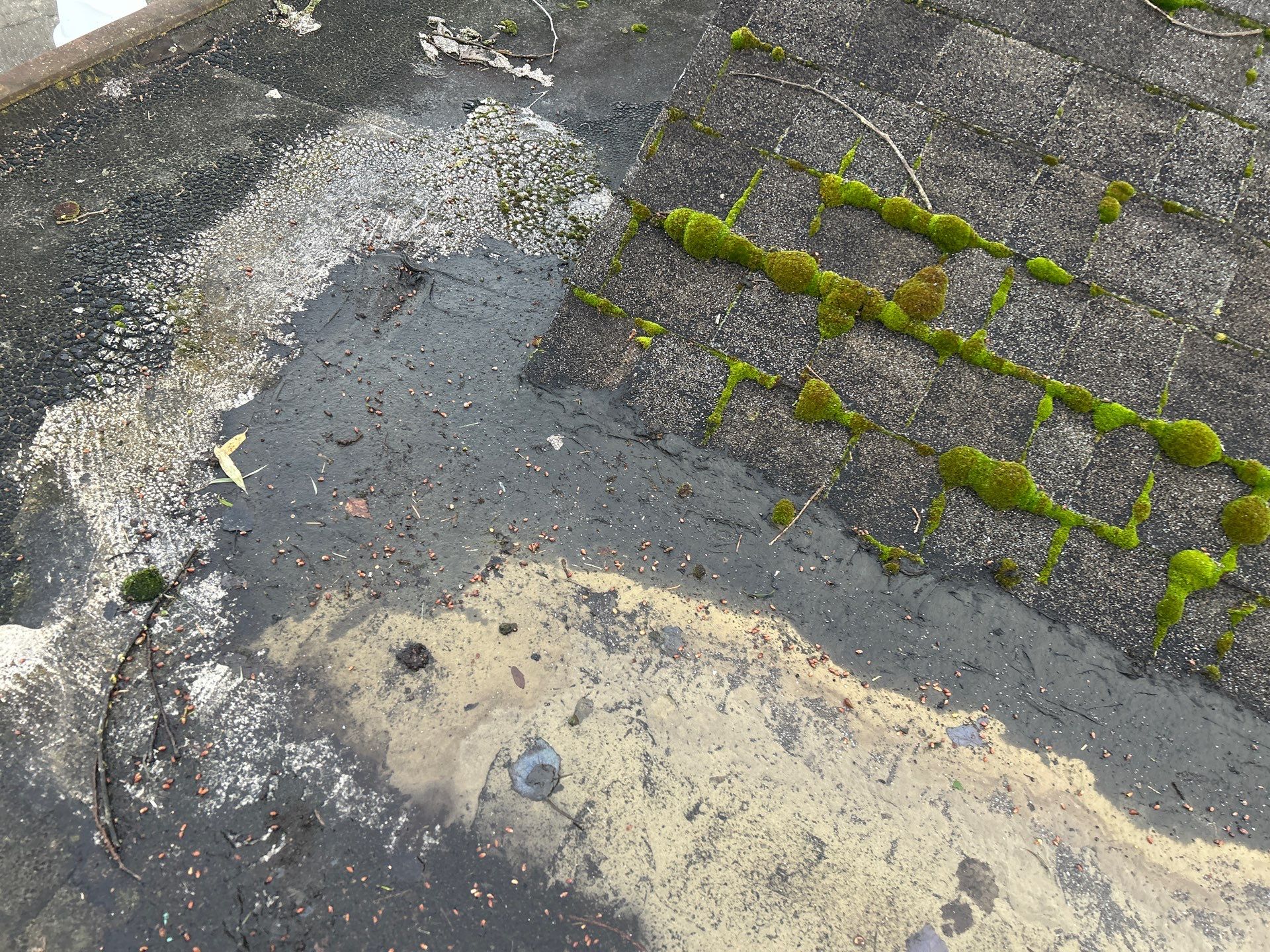 Project in Sedro-Woolley by Connolly Construction Company