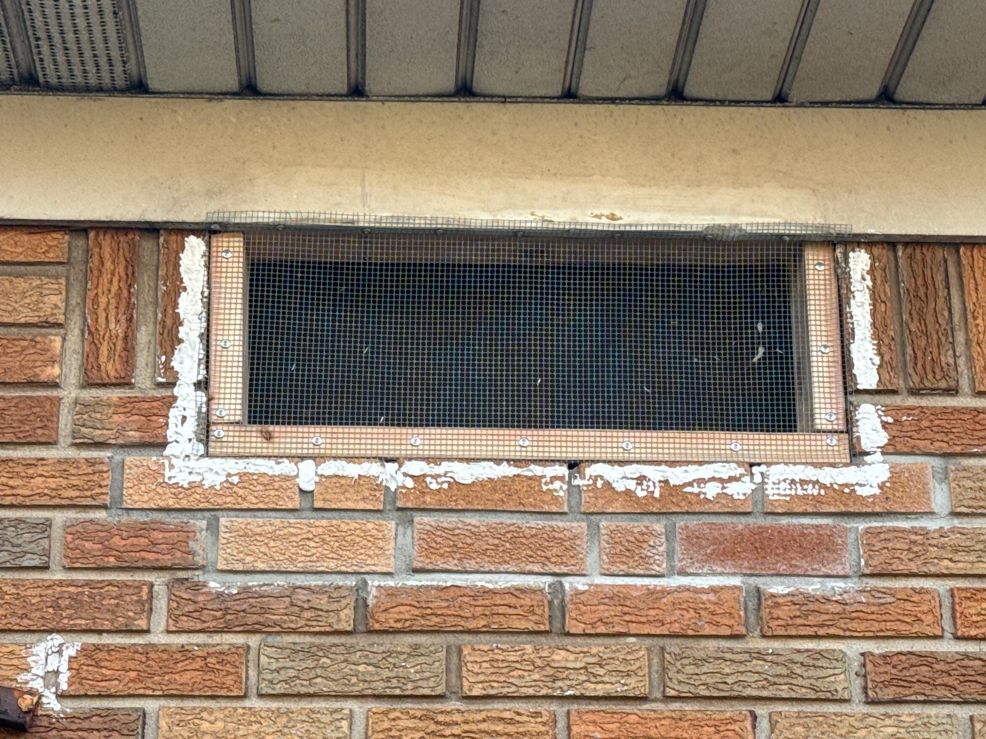Project in Staten Island  by NYC Extermination LLC