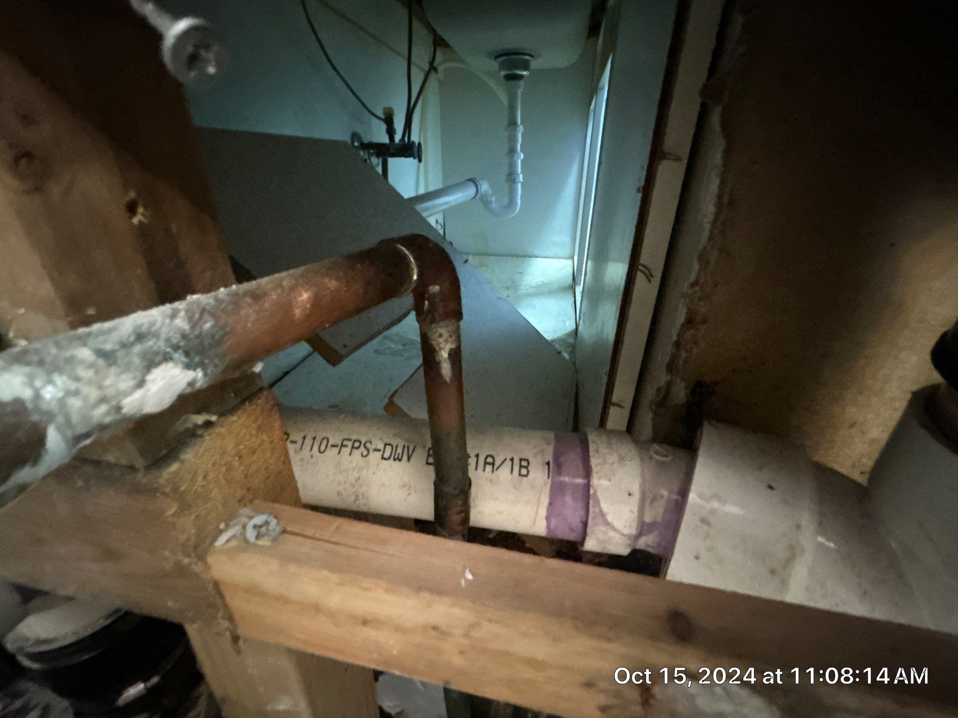 Mold Inspection by Ampm Restoration Services