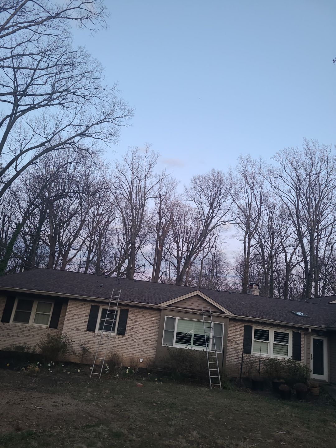 Fairfax: Residential Roof Replacement with CertainTeed Landmark Pro in Max Def Burnt Sienna by RM Banning, Inc.