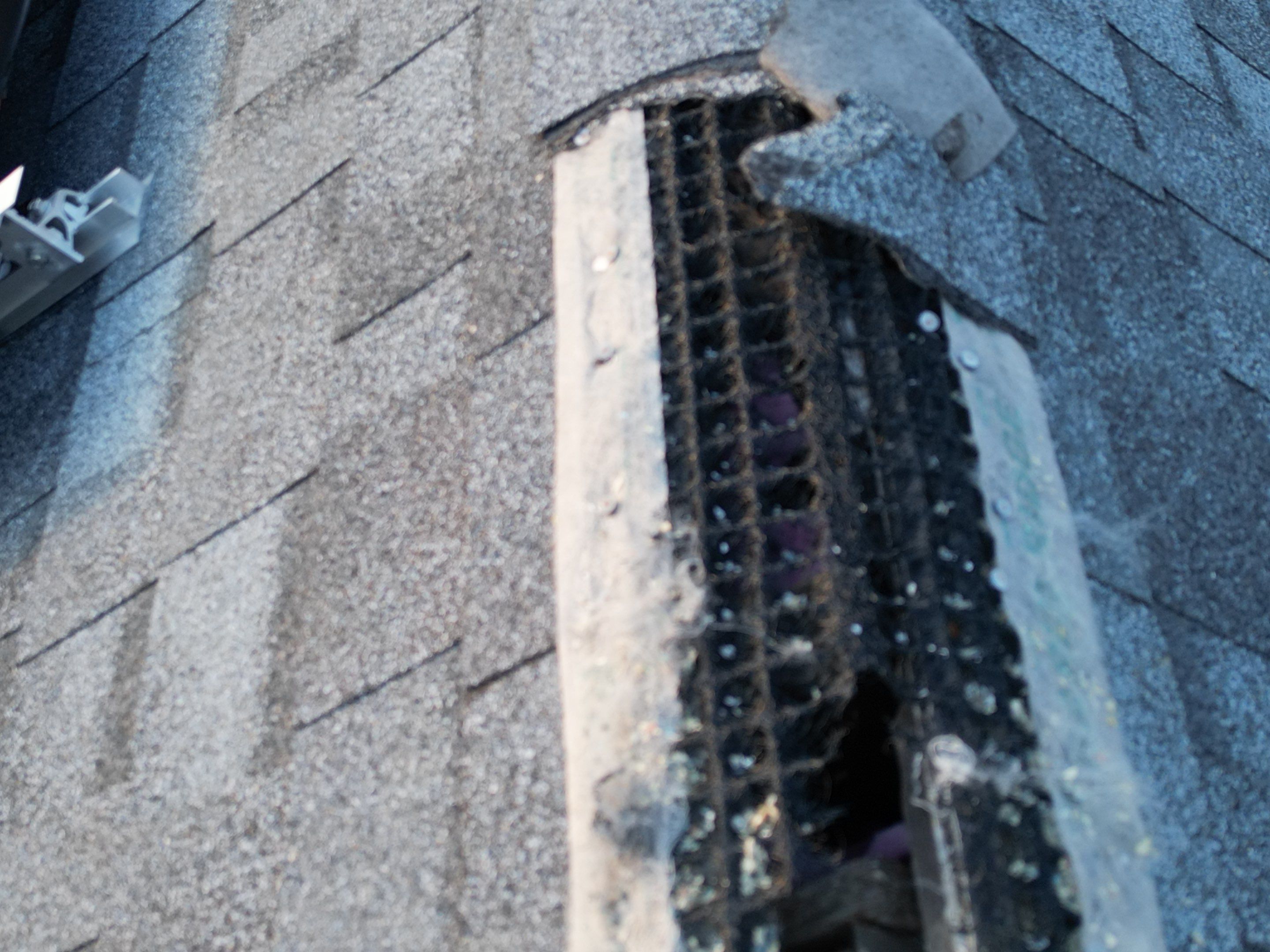 Asphalt & Flat roofing | Haverhill by Mighty Dog Roofing of Greater Middlesex County