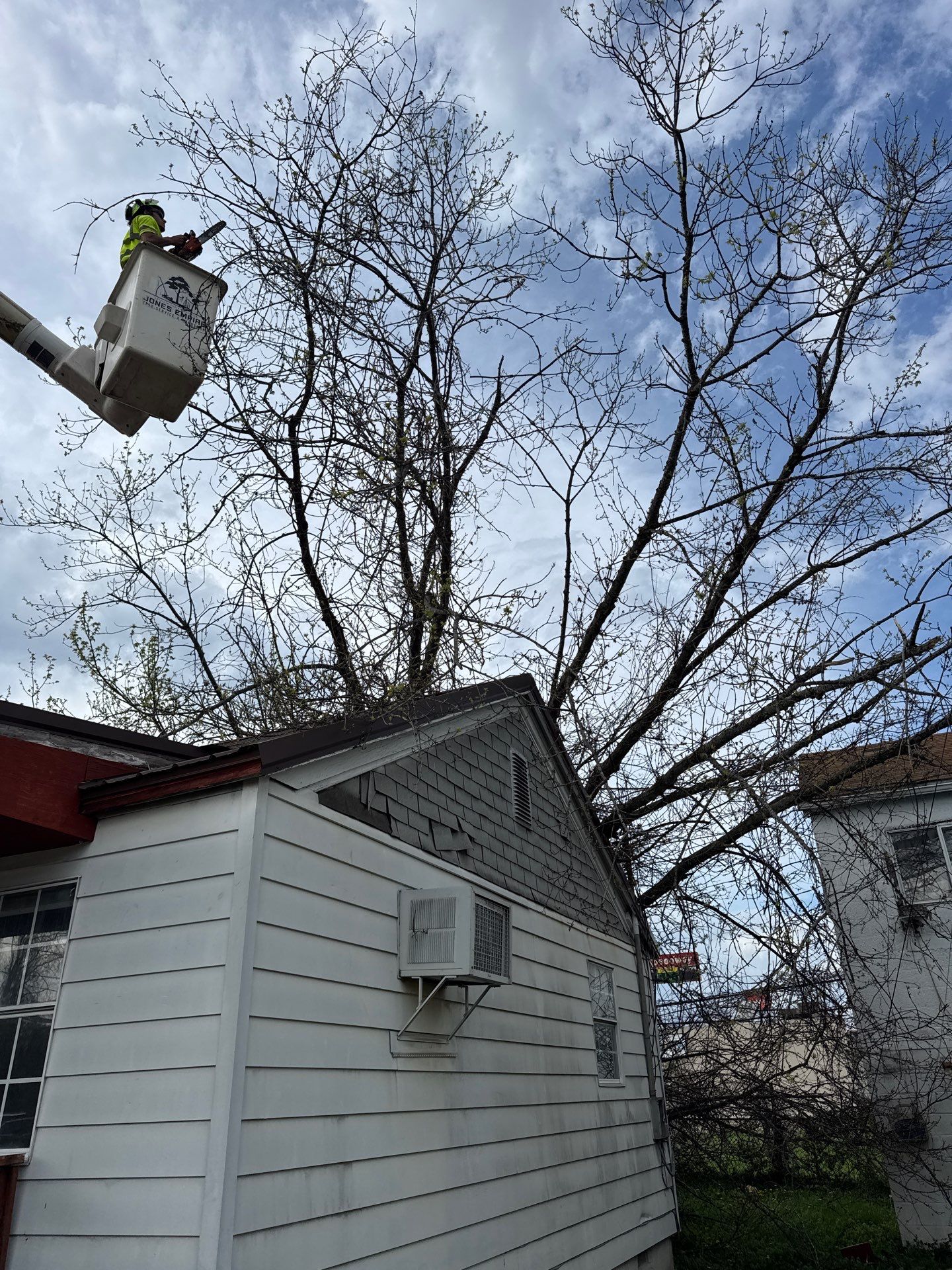 Project in Nitro, WV Rotator Crane Lifts Tree Off House | Nitro WV • One Wrong Move Job | Rotator Crane Tree Removal • Heavy Rescue Tree Job | Nitro WV • Extreme Tree Removal Over Home | Nitro WV by Jones Empire LLC