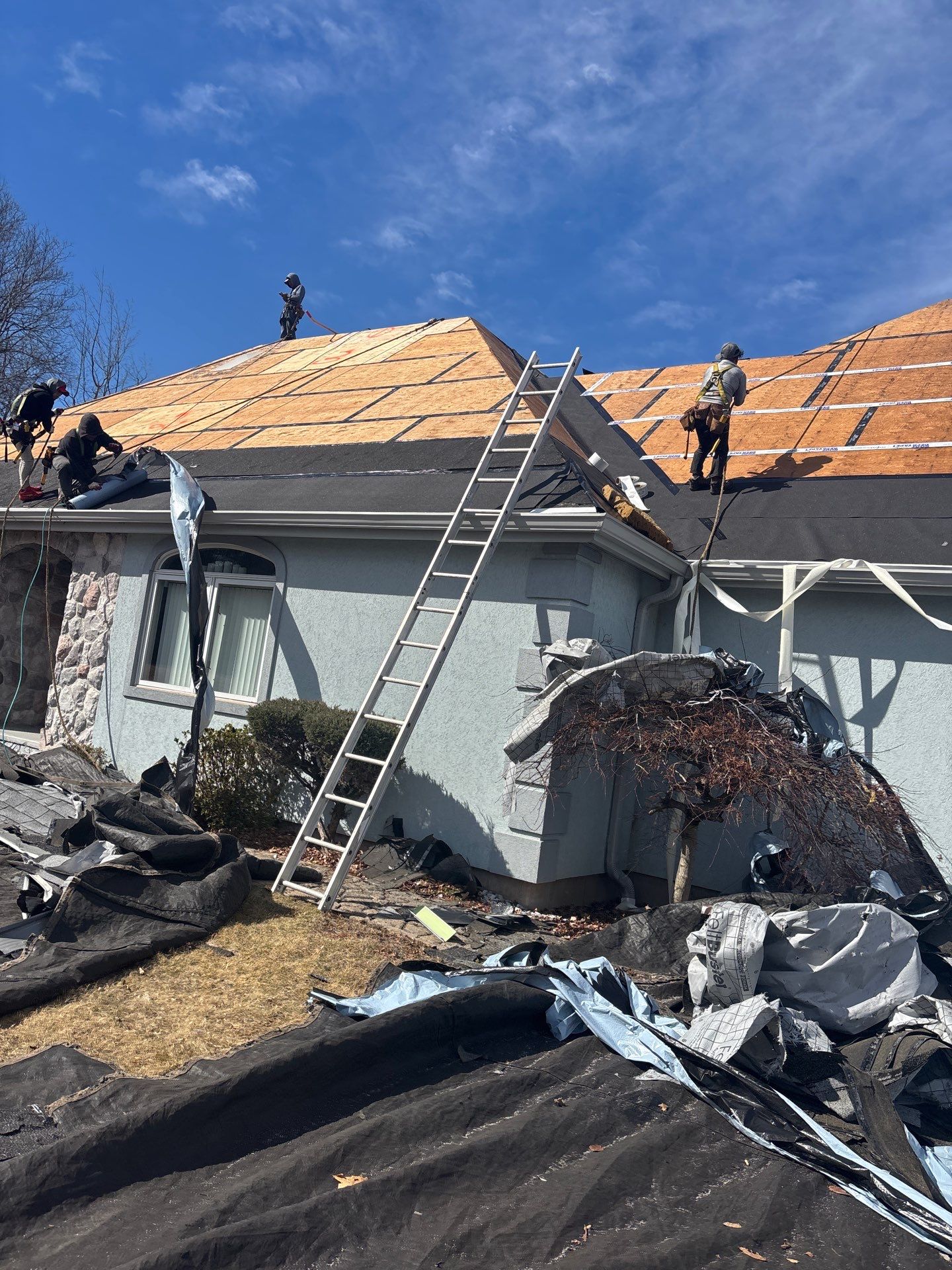 Northford by All site builders LLC