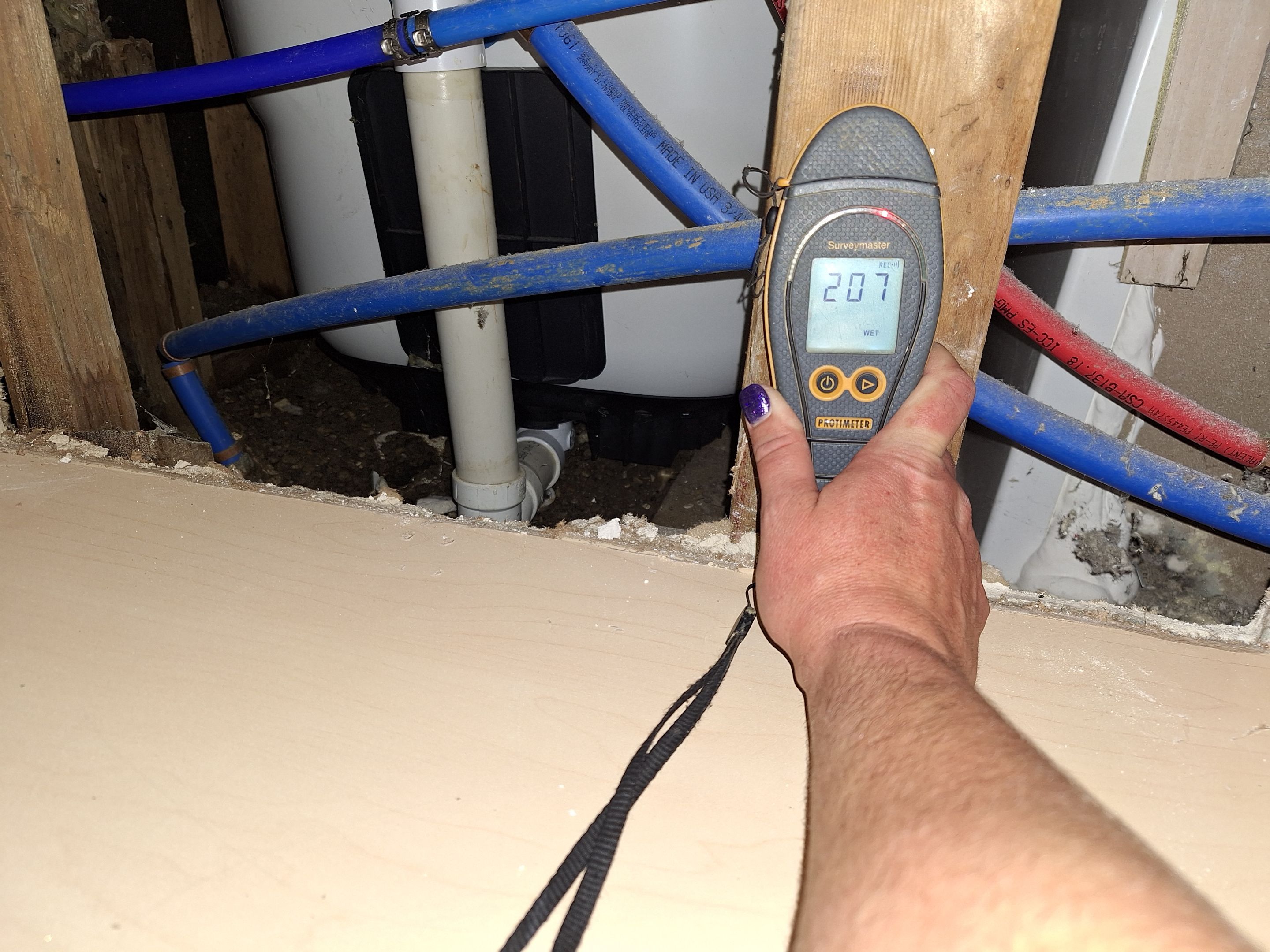 Mold Remediation in Clarksville, IN by ANR Restoration