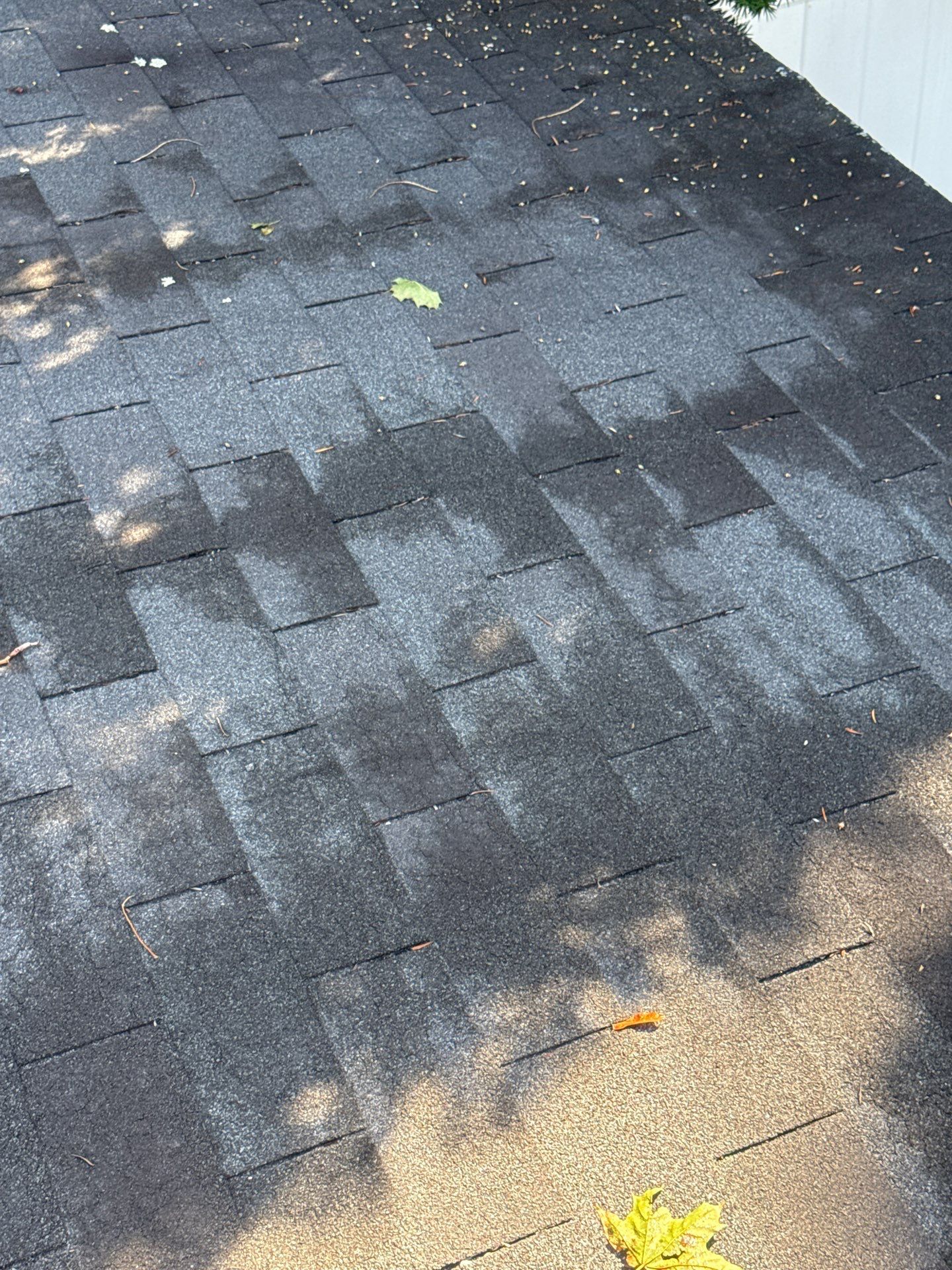 Garage & Shed Roof Replacement | Maynard, MA by Mighty Dog Roofing of Greater Middlesex County